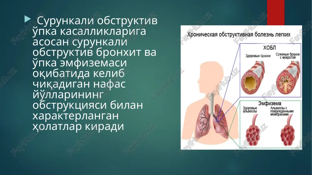aol neytrofillarning ko'p miqdorda tuplanishi kuzatilgan. neytrofillarning ko'chgan joylarida ajratgan elastaza miqdori ingibitorlarning shu fermentni nazorat qilish qobiliyatidan ustunlik qiladi, ushbu hol o'pka biriktiruvchi to'qimasi destruktsiyasiga, va nihoyat, emfizema rivojlanishiga sabab bo'ladi. alfa-1-antitripsin neytrofil elastazasining asosiy in-gibitori hisoblanadi. bu ferment tanqisligi mayda kapillyarlarda qon aylanishining izdan chiqishiga, alveolalararo bo'shliqlarining emirilishiga olib boradi va h.k. bunday be-morlarda hatto ularning navqiron yoshda bo'lishlariga qaramay, o'ta tiniq rentgenogrammalar bo'yicha barvaqt rivoj topgan o'pka emfizemasi borligi aniqlanadi. klinikasi yo'tal, balg'am ko'chishi, hansirash (goho hushtaksimon nafas olish bilan o'rin almashadigan) soukli bemorlarning asosiy shikoyatlari sanaladi. kasallik boshlanganda balg'am asosan ertalab ajralib, u kam miqdorda bo'ladi. keyinchalik balg'am kupayadi (bir kecha-kunduzda 30 ml dan ortiq) va infektsiya bo'lganda u yiringli tus oladi. bemor doim hansirayveradi. respirator simptomlar ko'pincha hushtaksimon nafas olish bilan navbatlashadi. souk bilan kasallangan bemorlarning asosiy qismi ko'pdan buyon sigaret chekuvchilar (ayniqsa 40 yoshdan oshganlar) hisoblanadi. ob'ektiv tekshiruvda . ko'krak qafasi shaklining o'zgarganligi (kukrak …