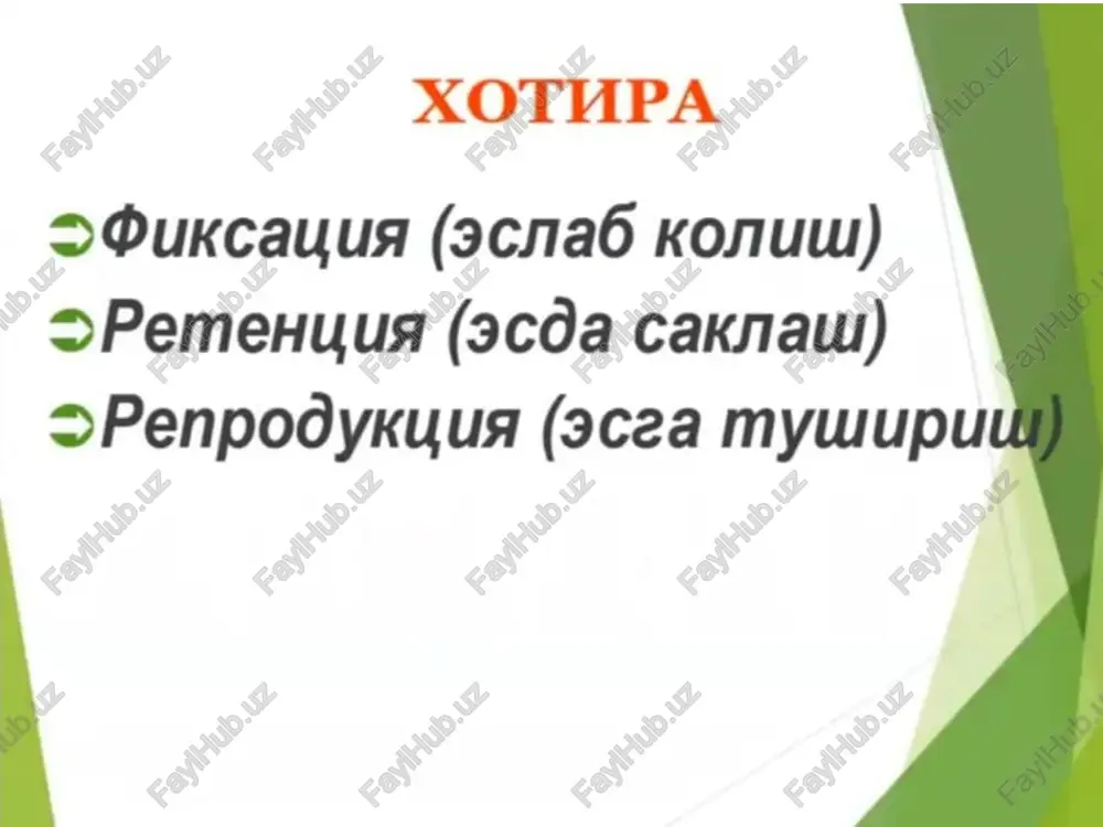 xotupa - Page 3