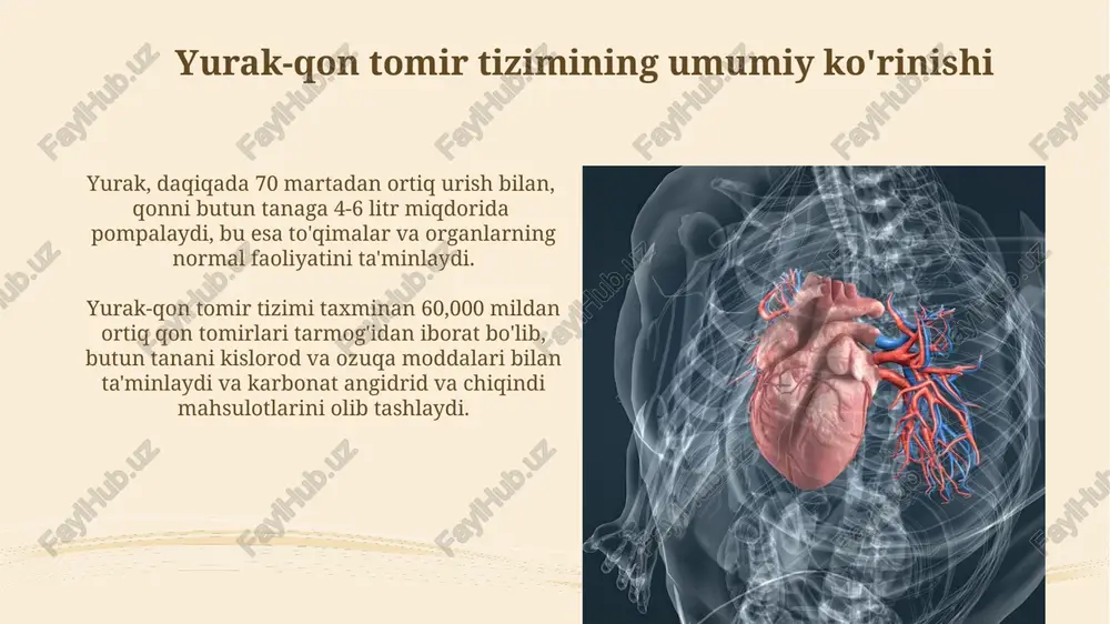 yurak-qon tomirlar tizimi - Page 3
