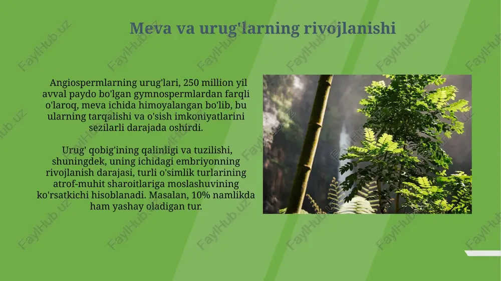 ta'sir ko'rsatadi va genetik xilma-xillikni cheklaydi. angiospermlarda polen naychasining hosil bo'lishi va urug'lanish jarayoni ikki hujayrali va uch hujayrali polen donalari o'rtasida farqlanadi, bu esa urug' hosil bo'lish samaradorligiga ta'sir qiladi. urg'ochilarning evolyutsiyasi traxeyli oʻsimliklarning paydo boʻlishi, yaʼni suv oʻtkazish toʻqimalarining rivojlanishi, taxminan 420 million yil oldin boʻlib, bu oʻsimliklarning balandligi va murakkabligi ortib borishiga olib kelgan. yuqori oʻsimliklarning evolyutsiyasi jarayonida 470 million yil avval suv oʻtlaridan quruqlik oʻsimliklariga oʻtishning muhim bosqichi kuzatilgan boʻlib, bu jarayon fotosintezning samaradorligini oshirish bilan bogʻliq edi. suv o'simliklaridan quruqlik o'simliklariga o'tish quruqlik oʻsimliklarining evolyutsiyasi davomida suvni yaxshi saqlashga yordam beradigan kutikula qatlami va suv oʻtkazuvchi toʻqimalar (ksylem va floema) rivojlangan. suv oʻsimliklarining quruqlikka chiqishi jarayonida 400 million yil avval bir hujayrali sporalar hosil qiluvchi oʻsimliklarning paydo boʻlishi muhim ahamiyatga ega boʻlgan. yuqori o'simliklarning evolyutsion kelib chiqishi briofitlar (moxlar) yuqori o'simliklarning eng qadimgi guruhi hisoblanadi va ularning quruqlikdagi hayotga moslashuvi, suvni ushlab turish va ozuqani …