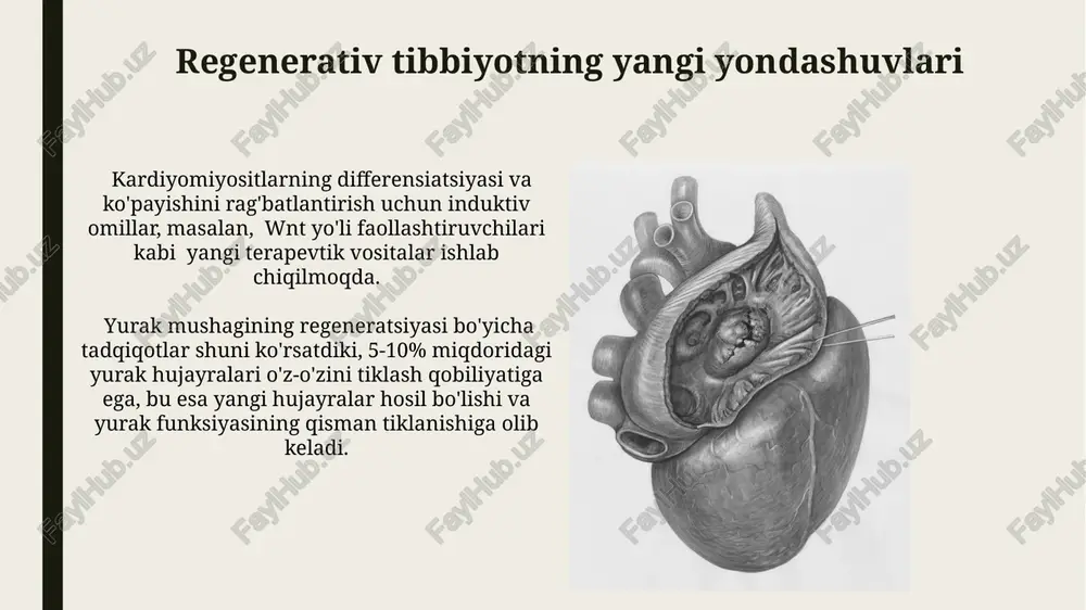 irishi mumkin. yurak hujayralarining tuzilishi va funktsiyasi har bir kardiomiotsit yadrosi bitta bo‘lib, hujayra sitoplazmasida ko‘p miqdorda mitoxondriyalar (hujayra energiya ishlab chiqarish markazi) joylashgan, ular hujayra hajmiga 40% gacha tashkil etadi. yurak miokardining asosiy hujayralari – kardiomiotsitlar, o‘ziga xos tarvaqaylab ketgan shaklga ega bo‘lib, 10-20 mkm uzunlikda va 10-25 mkm kenglikda bo‘ladi. hujayra terapiyasi va uning imkoniyatlari kardiyomiyositlarning transplatatsiyasi samaradorligini oshirish uchun, taxminan 10 6 -10 7 hujayralar soni kerak bo'ladi. bu miqdor bemorning yurak shikastlanish darajasiga bog'liq. hujayra terapiyasi yordamida yurak mushagining 5-10% regeneratsiyasi erishiladi, bu esa miokard infarktidan keyingi funksiyalarni yaxshilashga yordam beradi. kardiomiotsitlarning proliferatsiyasi kardiomiyositlarning proliferatsiyasi yoshi bilan kamayib boradi, kattalardagi odamlarda bu jarayonning samaradorligi atigi 1% ni tashkil etadi, bu esa yurak mushagining o'z-o'zini tiklash qobiliyatini cheklaydi. yurak mushagi hujayralarining proliferatsiyasi, bir nechta o'sish omillari, masalan, igf-1 va fgf ning ta'siri ostida 10-20% ga oshirilishi mumkin. yurak mushagining regeneratsiyasi: kirish yurak mushagining regeneratsiyasi boʻyicha tadqiqotlar, 20 …