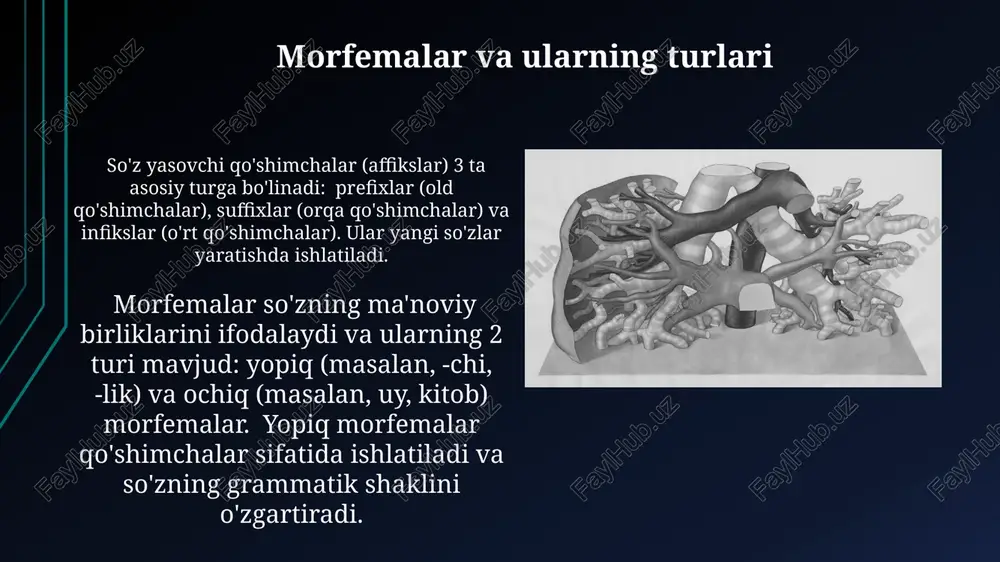 alarni shakllantirish jarayonini ifodalaydi. disleksiya va morfologik buzilishlar morfologik buzilishlarga ega bolalar ko'pincha so'zlarni noto'g'ri qo'shish yoki fe'llarni noto'g'ri shakllantirish kabi morfologik xatolarga yo'l qo'yib, 20% gacha grammatik to'g'ri emas jumlalar yaratishadi. disleksiya bilan og'rigan bolalarning 70% gacha morfologik til rivojlanishida kechikishlarni, masalan, fonetik jarayonlarning sustlashuvi yoki morfologiya qoidalarini o'zlashtira olmaslikni namoyon qiladi. ta’lim jarayonida morfologik rivojlanishni qo‘llab-quvvatlash morfologik qiyinchiliklarga duch kelgan o'quvchilar uchun individual yondashuv va differensial ta'lim muhimdir, ularning qiyinchiliklariga qarab, 3 dan ortiq turdagi qo'shimcha yordam va reabilitatsiya usullarini qo'llash kerak. ta'lim jarayonida morfologik rivojlanishni qo'llab-quvvatlash uchun 5-7 yoshdagi bolalarda fonetik-fonomotor ko'nikmalarni rivojlantirishga qaratilgan o'yinlar va mashqlarni muntazam qo'llash muhim, bu nutqning to'g'ri shakllanishiga yordam beradi. so‘z shakllanishi jarayonlari soʻz yasalishi jarayonida 3 ta asosiy usul: affiksatsiya (qoʻshimchalar qoʻshish), kompozitsiya (qoʻshma soʻzlar yasash) va konvertatsiya (soʻzning bir turkumdan boshqasiga oʻtish) mavjud boʻlib, ularning har biri oʻziga xos morfologik xususiyatlarga ega. oʻzbek tilida 10 dan ortiq turli qoʻshimchalar …