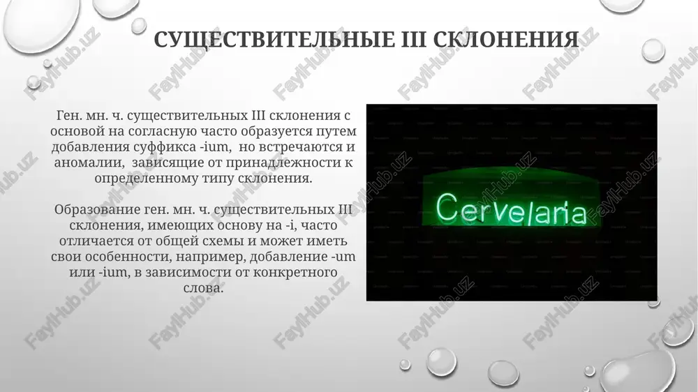 ditelnogo padeja mnojestvennogo chisla v konstruktsiyax s otritsaniem roditelniy padej mnojestvennogo chisla ukazivaet na otsutstvie neskolkix predmetov. naprimer, "u nego net bratev (fratrum)". eto podchyorkivaet mnojestvennost otsutstvuyushix bratev. roditelniy padej mnojestvennogo chisla mojet oboznachat prinadlejnost bolee chem 2-x predmetov, naprimer, "glaza (oculorum) tryox kotov". on pokazivaet, chto glaza prinadlejat tryom, a ne odnomu kotu. obrazovanie roditelnogo padeja mnojestvennogo chisla obrazovanie roditelnogo padeja mnojestvennogo chisla sushestvitelnix i skloneniya proisxodit putyom dobavleniya okonchaniya -ārum k osnove, naprimer, filia (doch) – filiārum (docherey). eto pravilo rasprostranyaetsya na bolshinstvo sushestvitelnix jenskogo roda. sushestvitelnie ii skloneniya, imeyushie osnovu na -r (naprimer, puer – malchik), obrazuyut roditelniy padej mnojestvennogo chisla s okonchaniem -ōrum, obrazuya formu puerōrum (malchikov). obratite vnimanie na izmenenie osnovi. mestoimeniya nekotorie mestoimeniya, takie kak "se" (refleksivnoe), imeyut ogranichennoe chislo padejnix form, vklyuchaya vsego 3 padeja i ne imeyut mnojestvennogo chisla v genitive. prityajatelnie mestoimeniya (meus, mea, meum i ix formi mnojestvennogo chisla) v …