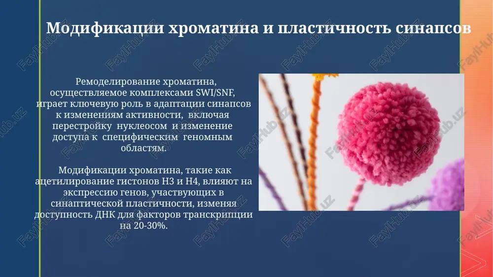 tamera gistonov h2a, h2b, h3 i h4, formiruya primerno 10 nm fibrillu. nukleinovie kisloti: vvedenie v nervnoy tkani sootnoshenie dnk i rnk mojet varirovatsya v zavisimosti ot tipa kletok i ix funktsionalnoy aktivnosti, naprimer, neyroni soderjat otnositelno menshe rnk, chem glialnie kletki. molekulyarnaya massa dnk v xromosomax cheloveka mojet dostigat 10^8-10^9 da, otrajaya ogromniy ob'yom geneticheskoy informatsii, upakovannoy v kompaktnuyu strukturu xromatina. euxromatin i geteroxromatin geteroxromatin, v otlichie ot euxromatina, imeet visokuyu stepen kompaktizatsii dnk, sostavlyaet okolo 10% genoma i xarakterizuetsya transkriptsionnoy neaktivnostyu. v protsesse kletochnogo tsikla sootnoshenie euxromatina i geteroxromatina mojet izmenyatsya, otrajaya uroven aktivnosti genov i funktsionalnoe sostoyanie kletki, naprimer, v neyronax. gistoni i ix modifikatsii bolee 150 razlichnix tipov posttranslyatsionnix modifikatsiy gistonov, vklyuchaya atsetilirovanie, metilirovanie, fosforilirovanie i ubikvitinirovanie, reguliruyut dostupnost dnk dlya transkriptsionnix faktorov i, sledovatelno, ekspressiyu genov. gistoni, predstavlyayushie soboy oktameri iz vosmi belkovix molekul (h2a, h2b, h3 i h4), obrazuyut nukleosomi, vokrug kotorix oborachivaetsya dnk, …