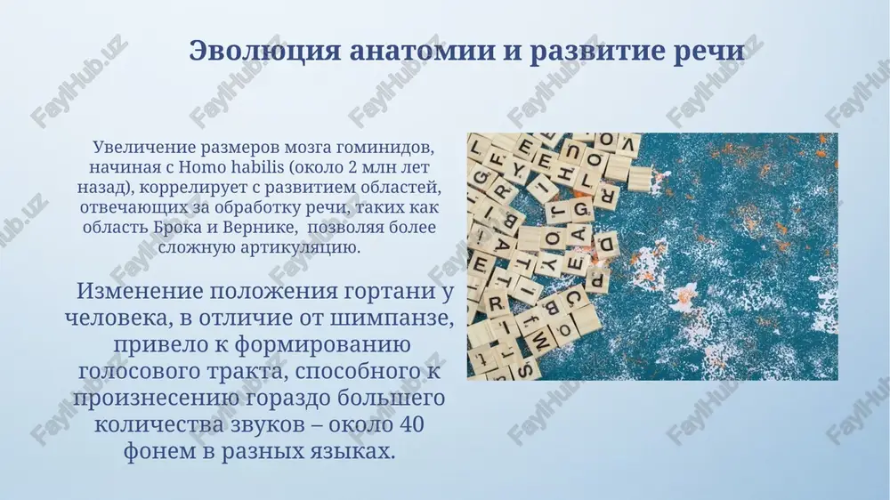 proisxojdenie yazika - Page 3