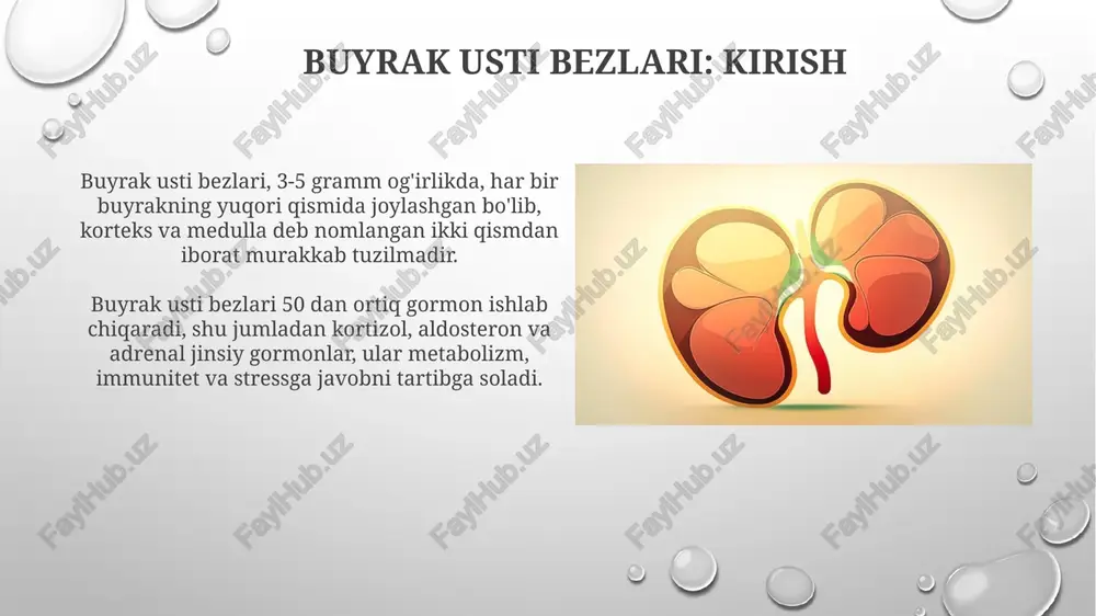 kretsiyasini kamaytiradi va gormonlar ishlab chiqarishini tartibga soladi. buyrak usti bezlari kasalliklari: umumiy ko'rinish buyrak usti bezi kasalliklari, masalan, cushing sindromi, kortizolning haddan tashqari ishlab chiqarilishi bilan bog'liq bo'lib, vazn ortishi va yuqori qon bosimiga olib keladi. addison kasalligi, buyrak usti bezlarining yetarli gormon ishlab chiqara olmasligi tufayli yuzaga keladi, natijada charchoq va past qon bosimi kabi alomatlar paydo bo'ladi. kushing sindromi: kortizolning ortiqchaligi kushing sindromi odatda yuqori dozali glyukokortikoid dorilarini uzoq muddat qabul qilish natijasida kelib chiqadi, bunda kortizolning sun'iy ko'payishi kuzatiladi. acth ishlab chiqaruvchi o'smalar kushing kasalligining sababi bo'lishi mumkin, bu buyrak usti bezlarida kortizolning haddan tashqari ishlab chiqarilishiga olib keladi. addison kasalligi: kortizolning etishmasligi addison kasalligida kortizol etishmasligi gipoglikemiyaga olib kelishi mumkin, bunda qondagi glyukoza miqdori 70 mg/dl dan past bo'ladi, bu esa xavfli. addison kasalligida kortizol yetishmasligi tufayli immunitet pasayadi, bu esa organizmni infektsiyalarga qarshi kurashish qobiliyatini susaytirib, xastaliklarni keltirib chiqaradi. feoxromotsitoma: adrenalinning haddan tashqari ko'pligi …