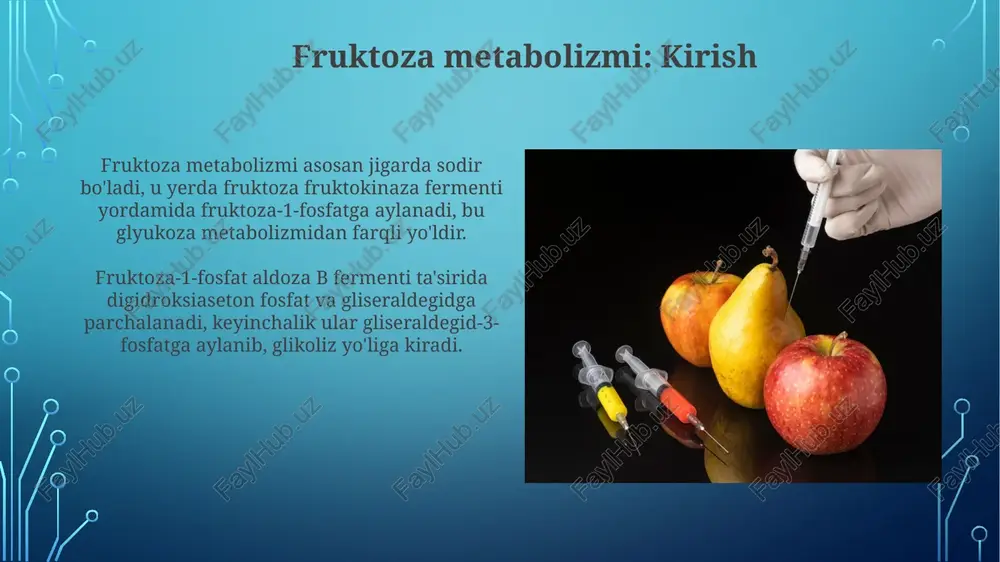 uhim rol o'ynaydi, bu yerda glyukoza uglevod bo'lmagan manbalardan, masalan, laktat, piruvat va aminokislotalardan sintezlanadi, qonda glyukoza darajasini saqlashga yordam beradi. jigar fruktozani glyukozaga aylantirishda asosiy o'rin tutadi, bu esa geksokinaza yordamida fosforlanadi, keyin glyukoza-6-fosfatga aylanadi va glikoliz yoki glikogen sinteziga yo'naltiriladi, bu muhim metabolik o'zgarishdir. buyraklarning roli buyraklar glyukoneogenezda muhim rol o'ynaydi, ayniqsa ochlik holatida, jami glyukoza ishlab chiqarishning taxminan 20% ini ta'minlaydi, bu gormonlar bilan tartibga solinadi. insulin buyraklardagi glyukozani qayta so'rilishini inhibe qiladi, qonda glyukoza miqdori yuqori bo'lganda siydik orqali glyukoza chiqarilishini oshiradi, bu sglt2 inhibitörleri ta'sir mexanizmi. glyukozaning so'rilishi glyukoza ingichka ichakda asosan sglt1 (natriy-glyukoza kotransporteri 1) orqali faol transport yordamida so'riladi, bu jarayon atp energiyasini talab qiladi. glut2 oqsili ham glyukoza so'rilishida ishtirok etadi, ayniqsa glyukoza konsentratsiyasi yuqori bo'lganda, shuningdek, sglt1 bilan birga harakat qiladi. glyukozaning saqlanishi glikogen sintezi va parchalanishi 80-120 mg/dl oralig'ida qon glyukoza konsentratsiyasini ushlab turishda muhim rol o'ynaydi, jigar bu jarayonlarni …