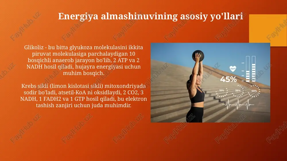 'kislotalari sintazani fosforlash orqali inhibe qiladi. oqsillar almashinuvini tartibga solish insulin oqsillar sintezini tezlashtiradi va 4e-bp1 va s6k1 kinazalarini faollashtirib, oqsillar parchalanishini kamaytiradi, shu bilan oqsillar almashinuvini tartibga soladi. glukokortikoidlar oqsillar katabolizmini, ayniqsa mushaklarda, oshiradi va jigarda oqsillar sintezini kuchaytiradi, bu azot balansi va aminokislotalar metabolizmiga ta'sir qiladi. gormonal tartibga solish (insulin, glyukagon, kortizol) insulin qondagi glyukoza darajasi yuqori bo'lganda chiqariladi, jigar, mushaklar va yog' hujayralari tomonidan glyukoza qabul qilinishini rag'batlantiradi va glyukogenezni 1-bosqichini oshiradi. glyukagon qondagi glyukoza darajasi past bo'lganda chiqariladi, jigarda glikogenni glyukozaga parchalanishini (glikogenolizni) rag'batlantiradi va glyukoneogenezni 2-darajali jarayon sifatida ishga tushiradi. energiya almashinuvining integratsiyasi va nazorati insulin va glyukagon kabi gormonlar glyukoza darajasini nazorat qilib, glikoliz va glyukoneogenez jarayonlarini tartibga soladi, bu esa energiya ishlab chiqarishni muvozanatlashtiradi. amp-aktivlangan protein kinaza (ampk) energiya darajasi past bo'lganda faollashadi va katabolik yo'llarni (masalan, yog' kislotalari oksidlanishi) rag'batlantiradi, anabolik jarayonlarni inhibe qiladi. e'tiboringiz uchun rahmat image2.png image5.jpg image6.jpg image7.jpg image8.jpg …