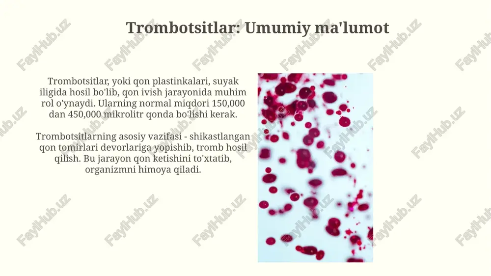 antigeni mavjudligini bildiradi; taxminan 85% aholi ushbu omilga ega, bu esa ularni rh-musbat qiladi. homiladorlikda rh-manfiy onaning rh-musbat homila bilan mos kelmasligi rh izoimmunizatsiyasiga olib kelishi mumkin, bu esa yangi tug'ilgan chaqaloqning gemolitik kasalligiga olib keladi. homiladorlik va rezus-konflikt homiladorlik davrida rezus-manfiy ayolda rezus-musbat bolaga qarshi antitanachalar hosil bo'lishi rezus-konflikt deb ataladi, bu esa gemolizga olib kelishi mumkin. rezus-konfliktning oldini olish uchun homiladorlikning 28-haftasida va tug'ruqdan keyin 72 soat ichida rezus-manfiy ayollarga anti-d immunoglobulin (rhogam) in'ektsiyasi qilinadi. trombotsitlar, qon guruhlari va rh faktorining klinik ahamiyati trombotsitlar yetishmovchiligi (trombotsitopeniya) qon ketish xavfini oshiradi; masalan, 50,000/µl dan kam bo'lsa, spontan qon ketish ehtimoli yuqori, bu esa klinik ahamiyatga ega. qon guruhlari mos kelmasligi transfuziya reaksiyalariga olib kelishi mumkin; masalan, a guruhiga b guruhi qoni quyilsa, antitelolar qon hujayralarini yo'q qiladi, bu jiddiy klinik muammodir. e'tiboringiz uchun rahmat image4.jpg image5.jpg image6.jpg image7.jpg image8.jpg image9.jpg image10.jpg image11.jpg image12.jpg image13.jpg image14.jpg image15.jpg
