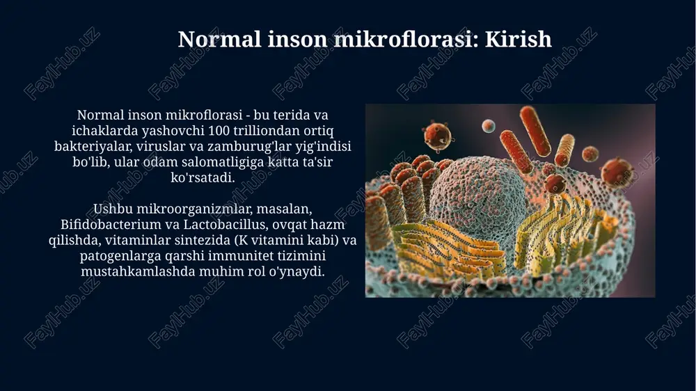 ziq moddalarning so'rilishini yaxshilaydi. emizishning ahamiyati emizish bolaning immun tizimini mustahkamlaydi, onadan bolaga o'tadigan immunoglobulinlar (iga) tufayli, bu birinchi 6 oyda infektsiyalarga qarshi kurashishda muhim rol o'ynaydi. ona suti tarkibida prebiotiklar mavjud bo'lib, ular bolaning ichaklarida foydali mikroorganizmlar (bakteriyalar) o'sishini rag'batlantiradi va ichak mikroflorasini shakllantirishga yordam beradi. atrof-muhit omillari atrof-muhit omillari, xususan, sanitariya-gigiyena sharoitlari, chaqaloqning 0-2 yoshida mikrobiomaning shakllanishiga katta ta'sir ko'rsatadi, bu esa immunitetning rivojlanishiga zamin yaratadi. antibiotiklarni nazoratsiz ishlatish, atrof-muhitning muhim omili bo'lib, bolalarda 0-5 yoshgacha bo'lgan mikroflorani buzadi, natijada disbakterioz va allergik reaksiyalar kelib chiqishi mumkin. antibiotiklarning ta'siri antibiotiklar nafaqat patogen bakteriyalarni, balki foydali mikroflorani ham yo'q qiladi, bu esa ichak disbioziga va v vitaminlari sintezi buzilishiga olib kelishi mumkin. antibiotiklarga chidamli bakteriyalar tarqalishi antibiotiklarning ta'siri tufayli kuchayadi, bu esa davolash qiyin bo'lgan infektsiyalarning ko'payishiga olib keladi. 2 milliondan ortiq odamda shunday infektsiyalar mavjud. mikrofloraning yetishmasligi va disbakterioz mikrofloraning yetishmasligi, masalan, antibiotiklardan keyin, vitamin k kabi muhim …
