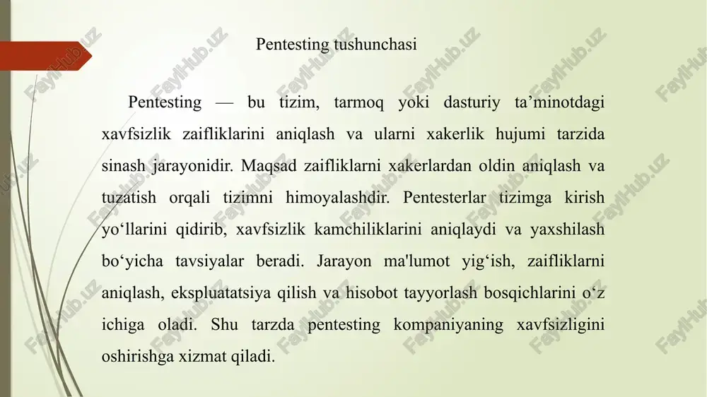 pentesting usul va vositalarining tahlili - Page 3