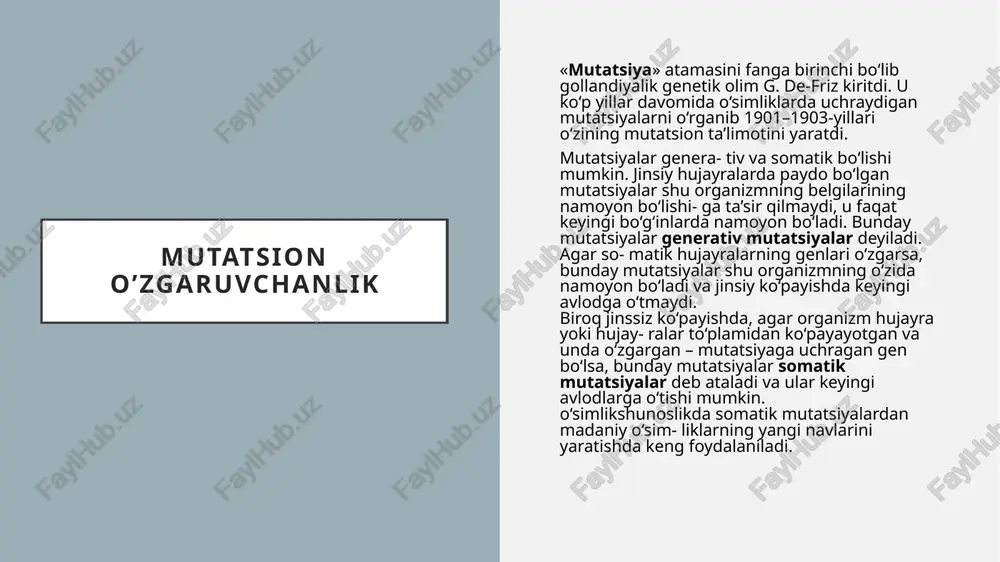 kiy-terner sindromi» kasal- ligi uchraydi. bu kasallikka duchor bo‘lgan ayollarda juft gomologik jinsiy xromosomalar soni bittaga kamayadi. ularda xromosoma soni 46 ta emas, balki 45 ta bo‘lib qoladi. bunday ayollarning bo‘yi juda past, bo‘yni juda qisqa bo‘ladi. ularda tuxumdon rivojlanmagan, ikkilamchi jinsiy belgilar ham juda sust namoyon bo‘ladi. «shereshevskiy-terner sindromi» kasalligi o‘rta hisobda yangi tug‘ilgan 5000 qizdan bittasida uchraydi e’tiboringiz uchun raxmat! dnt 816-u axmadjanova farzona image1.jpeg image2.jpeg image3.jpeg image4.jpeg image5.jpeg image6.jpeg image7.jpeg image8.jpeg image9.jpeg image10.jpeg /docprops/thumbnail.jpeg