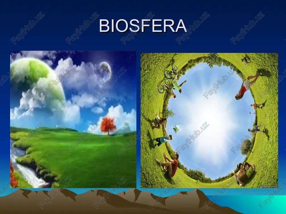 biosfera va uning chegaralari - Page 3