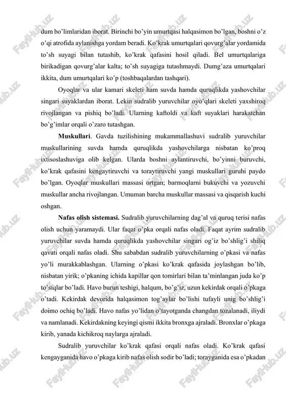 ng o’pkasi va nafas yo’li murakkablashgan. ularning o’pkasi ko’krak qafasida joylashgan bo’lib, nisbatan yirik; o’pkaning ichida kapillar qon tomirlari bilan ta’minlangan juda ko’p to’siqlar bo’ladi. havo burun teshigi, halqum, bo’g’iz, uzun kekirdak orqali o’pkaga o’tadi. kekirdak devorida halqasimon tog’aylar bo’lishi tufayli unig bo’shlig’i doimo ochiq bo’ladi. havo nafas yo’lidan o’tayotganda changdan tozalanadi, iliydi va namlanadi. kekirdakning keyingi qismi ikkita bronxga ajraladi. bronxlar o’pkaga kirib, yanada kichikroq naylarga ajraladi. sudralib yuruvchilar ko’krak qafasi orqali nafas oladi. ko’krak qafasi kengayganida havo o’pkaga kirib nafas olish sodir bo’ladi; torayganida esa o’pkadan karbonat angidridga to’yingan havo chiqariladi va nafas chiqarish sodir bo’ladi. bunday nafas olish mexanizmi qushlar va sut emizuvchilar uchun ham xos. ayirish sistemasi. nafas olish va moddalar almashinuvi intensivligining ortishi dissimilyatsiya mahsulotlarining ko’payishiga olib keladi, lekin quruqlik muhiti suvni juda tejab sarflashni talab etadi. shuning uchun sudralib yuruvchilar ayirish sistemasi ancha murakkablashgan; ularda suvda ham quruqlikda yashovchilarning birlamchi tana buyragi o’rniga ikkilamchi …