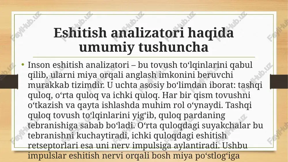 qabul qila oladi. 120 db dan yuqori tovushlar eshitish organlariga zarar yetkazadi. shuning uchun ishlab chiqarish yoki musiqiy tadbirlarda himoya vositalaridan foydalanish muhim. inson tovush balandligi orqali atrofdagi hodisalarni farqlay oladi. tovushni his etishda miya faoliyati tovushni his etish faqat quloq bilan emas, balki miya faoliyati bilan chambarchas bog‘liq. eshitish nervidan kelgan impulslar miyaning eshitish markazida tahlil qilinadi va ma’lum ma’no kasb etadi. masalan, biz tovush orqali so‘z, musiqa yoki atrofdagi shovqinni ajrata olamiz. miya tovushlarni ilgari eshitilgan tovushlar bilan solishtirib, ularni tanib oladi. shuning uchun eshitish tajribasi va xotira tovushni to‘g‘ri idrok etishda muhim o‘rin tutadi. bu jarayon inson tafakkurining eshitish qobiliyatini shakllantiradi. eshitish tizimining gigiyenasi va himoyasi eshitish tizimi nozik tuzilishga ega bo‘lgani uchun uni himoya qilish muhimdir. juda baland tovushlar, uzoq vaqt quloqchinlardan foydalanish yoki quloqqa suyuqlik kirishi eshitish retseptorlariga zarar yetkazadi. shuningdek, o‘rta quloq yallig‘lanishi (otit) eshitishning vaqtincha yoki doimiy pasayishiga olib keladi. quloqlarni tozalashda ehtiyot …