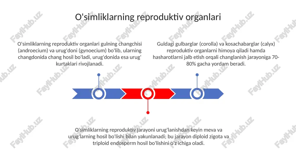o'simliklarning generativ organlari. gul - Page 3