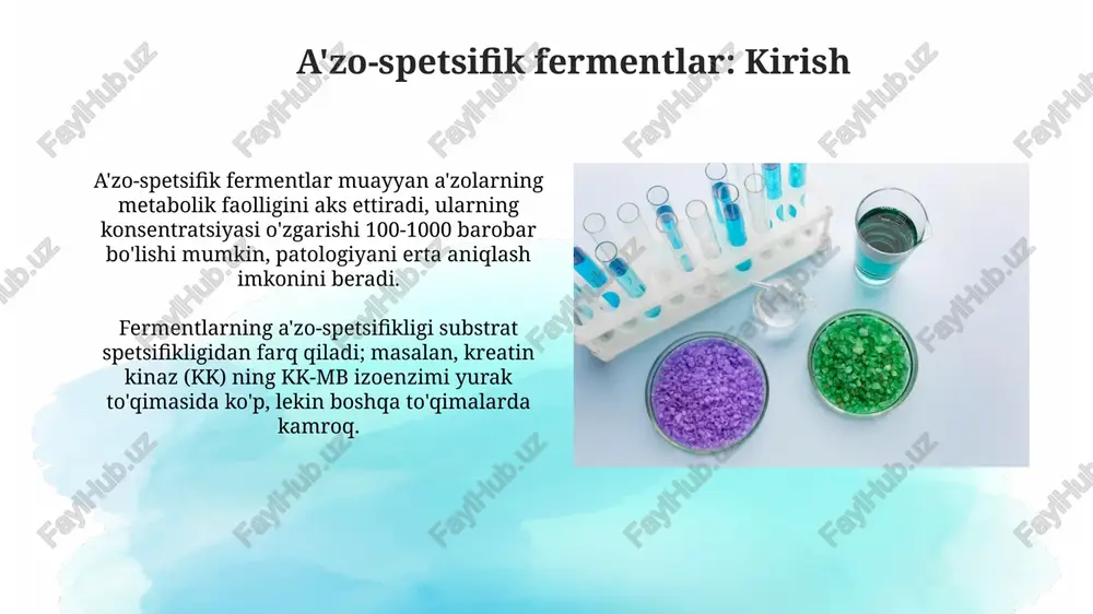 isda muhim. fermentlarning patologik o'zgarishlar sabablari fermentlarning patologik o'zgarishlari genetik defektlar (masalan, fermentning noto'g'ri shakllanishi) natijasida enzimopatiya 1 tipini keltirib chiqarishi mumkin, bu uning faolligini pasaytiradi. toksik moddalar (og'ir metallar kabi) ferment molekulasiga bevosita ta'sir etib, uni denaturatsiyaga olib kelishi va faollikni yo'qotishiga sabab bo'ladi, bu esa 2 tip enzimopatiyasidir. enzimopatologiyaning klinik ko'rinishlari jigar shikastlanishi klinik ko'rinishi, masalan, gepatitda, alt va ast kabi jigar fermentlarining qonda 10-100 barobar oshishi bilan namoyon bo'ladi, bu esa jigar hujayralari zararlanishini ko'rsatadi. o'tkir pankreatitda amilaza va lipaza fermentlarining qonda 3-5 barobar ko'payishi kuzatiladi, bu abdominal og'riqlar, ko'ngil aynishi va qayt qilish bilan birga keladi hamda me'da osti bezi yallig'lanishini ko'rsatadi. ferment diagnostikasi: asosiy tamoyillar ferment diagnostikasida asosiy tamoyil – bu qon zardobida yoki boshqa biologik suyuqliklarda fermentlar faolligini 2-3 marta oshishi kasallikni ko'rsatadi. jigar fermentlari (alt, ast) ko'tarilishi gepatitning diagnostikasi uchun muhimdir, chunki ular hujayra ichida joylashganligi sababli, 5-10 birlik ko'payishi kasallikni bildiradi. ferment …