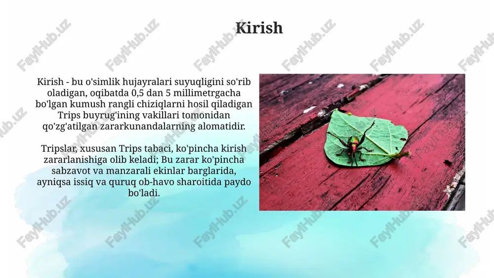 di, ularning sporalari tripslarning tanasiga yopishib oladi va o'simliklarga 20 dan ortiq qo'ziqorin turi bilan birga tarqaladi. diagnostika usullari tripslarni aniqlash uchun zararkunandalarni bevosita ko'rish, lupa (10-20x kattalashtirish) yoki mikroskop orqali barglar, gullar va mevalarni tekshirish muhim. yopishqoq tuzoqlardan (ko'k yoki sariq) foydalanish tripslar populyatsiyasini kuzatishga yordam beradi; tuzoqlarga tushgan tripslar soni populyatsiya dinamikasini baholash imkonini beradi. kurash choralari: biologik nazorat kurash choralari uchun amblyseius cucumeris kabi yirtqich kanalar 50-75% gacha triplarni yo'q qilishi mumkin, ayniqsa issiqxonalarda foydalanishda samarali. orius turidagi yirtqich hasharotlar triplarga qarshi biologik kurashda qo'llaniladi, har bir orius imago kuniga 10-20 tadan trip lichinkasini yo'q qiladi. kurash choralari: kimyoviy nazorat kimyoviy nazoratda piretroidlar samarali bo'lib, ular tez ta'sir etadi, lekin ularga chidamlilikning rivojlanishi tufayli, ulardan foydalanishni ehtiyotkorlik bilan rejalashtirish lozim. organofosfatlar, masalan, malation, triplarni nazorat qilishda ishlatilgan, ammo ularning toksikligi va atrof-muhitga ta'siri tufayli, ulardan foydalanish kamaygan. kurash choralari: madaniy usullar kurash choralari uchun birinchi qadam - …