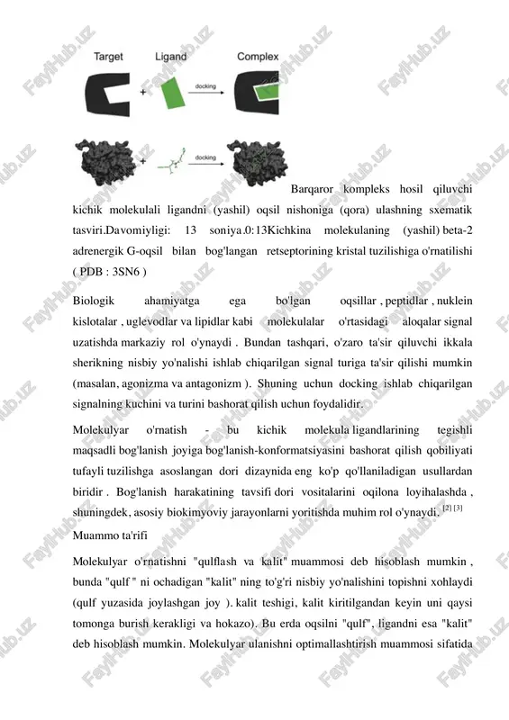 gnal turiga ta'sir qilishi mumkin (masalan, agonizma va antagonizm ). shuning uchun docking ishlab chiqarilgan signalning kuchini va turini bashorat qilish uchun foydalidir. molekulyar o'rnatish - bu kichik molekula ligandlarining tegishli maqsadli bog'lanish joyiga bog'lanish-konformatsiyasini bashorat qilish qobiliyati tufayli tuzilishga asoslangan dori dizaynida eng ko'p qo'llaniladigan usullardan biridir . bog'lanish harakatining tavsifi dori vositalarini oqilona loyihalashda , shuningdek, asosiy biokimyoviy jarayonlarni yoritishda muhim rol o'ynaydi. [2] [3] muammo ta'rifi molekulyar o'rnatishni "qulflash va kalit" muammosi deb hisoblash mumkin , bunda "qulf " ni ochadigan "kalit" ning to'g'ri nisbiy yo'nalishini topishni xohlaydi (qulf yuzasida joylashgan joy ). kalit teshigi, kalit kiritilgandan keyin uni qaysi tomonga burish kerakligi va hokazo). bu erda oqsilni "qulf", ligandni esa "kalit" deb hisoblash mumkin. molekulyar ulanishni optimallashtirish muammosi sifatida https://en.wikipedia.org/wiki/beta-2_adrenergic_receptor https://en.wikipedia.org/wiki/beta-2_adrenergic_receptor https://en.wikipedia.org/wiki/g_protein%e2%80%93coupled_receptor https://en.wikipedia.org/wiki/crystal_structure https://en.wikipedia.org/wiki/protein_data_bank https://www.rcsb.org/structure/3sn6 https://en.wikipedia.org/wiki/proteins https://en.wikipedia.org/wiki/peptide https://en.wikipedia.org/wiki/nucleic_acids https://en.wikipedia.org/wiki/nucleic_acids https://en.wikipedia.org/wiki/carbohydrates https://en.wikipedia.org/wiki/lipids https://en.wikipedia.org/wiki/signal_transduction https://en.wikipedia.org/wiki/signal_transduction https://en.wikipedia.org/wiki/agonist https://en.wikipedia.org/wiki/antagonist_(pharmacology) https://en.wikipedia.org/wiki/small_molecule https://en.wikipedia.org/wiki/binding_site https://en.wikipedia.org/wiki/drug_design https://en.wikipedia.org/wiki/rational_drug_design https://en.wikipedia.org/wiki/docking_(molecular)#cite_note-pmid15520816-2 ht