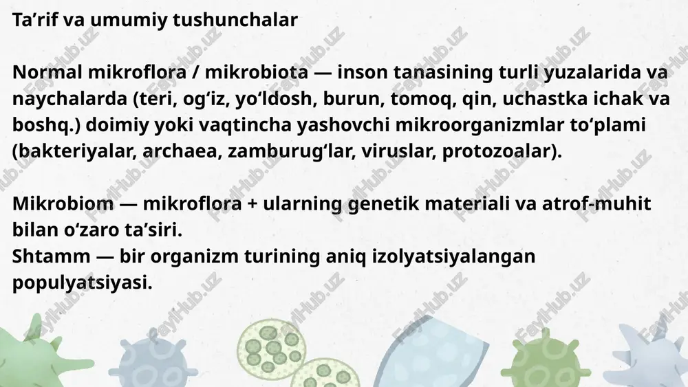 ) – mikroblarni yopishtirib tashqariga chiqaradi. silli tukchalar (kirpiksimon epiteliy) – mikroblarni tashqariga suradi. alveolyar makrofaglar – o‘pkaga kirgan mikroblarni yo‘q qiladi quyi nafas yo‘llari (bronxlar, o‘pka) sog‘lom odamlarda deyarli steril bo‘ladi. 🍽️ hazm tizimi (ovqat hazm qilish tizimi) mikroflorasi — bu og‘izdan tortib yo‘g‘on ichakgacha bo‘lgan yo‘llarda yashovchi foydali va shartsiz patogen mikroorganizmlar majmuasidir. asosiy mikroorganizmlar: og‘iz bo‘shlig‘ida: streptococcus mutans, lactobacillus, actinomyces, neisseria, veillonella, fusobacterium, prevotella — 300 dan ortiq turdagi mikroorganizmlar mavjud. ingichka ichakda: enterococcus, lactobacillus yo‘g‘on ichakda: escherichia coli, bacteroides, lactobacillus, clostridium, enterococcus hazm tizimida mikroblar eng ko‘p joylashgan qismlar — og‘iz bo‘shlig‘i va yo‘g‘on ichakdir. og‘iz bo‘shlig‘i mikroblar turi jihatidan eng boy bo‘lib, unda 300 dan ortiq turdagi mikroorganizmlar yashaydi. yo‘g‘on ichak esa miqdor jihatidan eng ko‘p mikrofloraga ega bo‘lib, 1 gramm najasda 10¹¹–10¹² ta mikroblar mavjud. bu joylarda mikroblar ko‘payishiga sabab — oziqa moddalarning ko‘pligi, barqaror harorat va kislorodning kamligi, ya’ni mikroblar uchun juda qulay …
