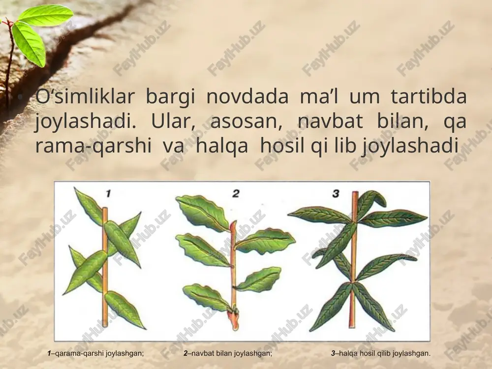 5-sinf botanika darsligi - Page 3