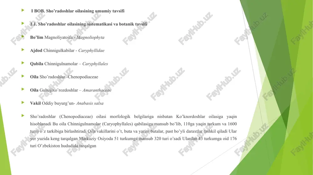 gullarda toʻplangan gulining eng yuqori qismi oʻsimtasimon, meva berishda deyarli avvalgi holatidan oʻzgarmaydi mevasi katta tuxumsimon, oʻzida koʻp miqdorda suv toʻplagan, qizil rangda boʻladi tabiatda buyurgʻun turkum vakillari yevroosiyo – rossiyaning yevropadagi qismi va janubi-sharqiy hududlari, ozarbayjonning sharqiy hududlari, eronning shimoliy hududlari, kavkaz, moʻgʻuliston, qozogʻiston, sibir, shinjon va markaziy osiyoni qamrab olgan dengiz sathida 440 metrdan 1900 metrgacha balandlikda bo’lgan joylarda oʻsadi asosan gobi choʻllarida uchratishimiz mumkin haligacha sunʼiy ravishda yetishtirlmagan va xonakilashtirilmagan 1.7.-rasm. anabasis ebracteolata yarim choʻllarda katta maydonlarni egallab, tuyalar uchun katta ozuqaviy ahamiyatga ega boʻlib, ular uchun kuz va qishda yaxshi semirtiruvchi ozuqa, bahor va yozda kamroq isteʼmol qilinadi otlar, qoʻylar va echkilar uchun zararli hisoblanadi, chunki mahalliy statistikaga koʻra, biyurgʻunni isteʼmol qilgan yuqorida koʻrsatilgan hayvonlarning koʻpchiligida junlarning toʻkilishiga sabab boʻlgan asosan, taqir, shoʻr va shoʻrxok choʻllarda oʻsadi, yilning iyul oylarida gullaydi, urugʻi sentyabrda pishib yetiladi biyurgʻun tarkibida asosan 1,22% foiz miqdorida alkaloid, 7—9% foiz miqdorida oksalat …