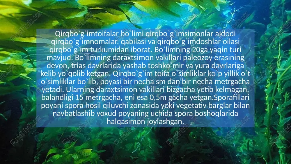 ° haroratda sernam joyda unib chiqadi. asosan, ildizpoyalaridan, baʼzan urugʻidan koʻpayadi. sizot suvlar sathi yaqin (2–3 m gacha) tuproqlarda, don, sholi, gʻoʻza, beda va boshqalar orasida uchraydi. shuningdek, botqoqlashgan zax joylarda, hovuz, toʻqaylar, koʻl, sugʻorish shoxobchalarida oʻsadi. nilufar (nelumbo) — nilufardoshlarga mansub suvda oʻsadigan koʻp yillik oʻsimliklar turkumi. ikkala yarim sharning moʻʼtadil mintaqalarida va tropiklarda 2 turi — guli pushti yongʻoqchali n. (n.nicifera) va sariq n. (w.lutea) oʻsadi. bargi yirik, qalqonsimon, bandi uzun, suv betida qalqib turadi yoki suvdan yuqori koʻtarilib oʻsadi. guli yakka, yirik, ikki jinsli, diametri 16 sm gacha boradi, oq yoki pushti, xushboʻy, bargi ustida ochiladi. mevasi konussimon, koʻp yongʻoqchali, suv ostida yetiladi. n. urugidan yoki ildizpoyasidan koʻpayadi. unib chiqqanidan keyin 3-yili gullaydi. hindiston va xitoyda pushti n. qadimdan muqaddas oʻsimlik hisoblanadi. n.ning madaniy shakllari koʻp. n.ning poyasi, barglarida vitamin s va kauchuk, bandi va novdalarida zaharli modda — nelyumbin bor.[1] etiboringiz uchun rahmat image1.jpg image2.png image3.jpeg …