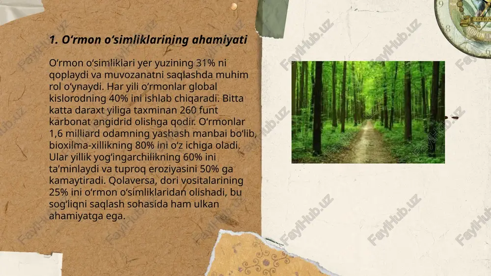 unyodagi oʻrmonlar yoʻqolishi global isish jarayonini tezlashtiradi va ekologik tizimlarga zarar yetkazadi. shuning uchun oʻrmonlarni asrash va tiklash zarur. ... t.me/slaydai_bot 7. endemik oʻrmon oʻsimliklari endemik oʻrmon oʻsimliklari, faqat maʼlum bir joyda uchraydigan va boshqa joylarda tabiiy ravishda topilmaydigan oʻsimlik turlaridir. oʻrmonlar bu oʻsimliklar uchun boy yashash muhitini taʼminlaydi. masalan, oʻzbekistonning zomin va hisor togʻlarida endemik hisoblangan oʻsimliklar mavjud. bu hududda 150 dan ortiq endemik oʻsimliklar aniqlangan. oʻrmonlarning biologik xilma-xilligi yer yuzidagi ekologik muvozanatni saqlashda muhim ahamiyatga ega. endemik oʻsimliklar koʻpincha qirilib ketish xavfiga duch keladi, shuning uchun ularni muhofaza qilish dolzarb masaladir. ekotizimlar barqarorligini saqlash uchun endemik muhit va oʻsimliklarni himoya qilish zarur. ... t.me/slaydai_bot 8. oʻrmon oʻsimliklarining morfologiyasi oʻrganishida asosiy eʼtibor oʻsimliklarning tashqi tuzilishiga qaratiladi. oʻrmon oʻsimliklari ildiz, poya, barg, gul va meva kabi morfologik qismlarga ega. ildizlar tuproqdan suv va oziq moddalari olish uchun xizmat qiladi. poya esa oʻsimlikni tik turishi va oziq moddalari tashilishini taʼminlaydi. barglar …