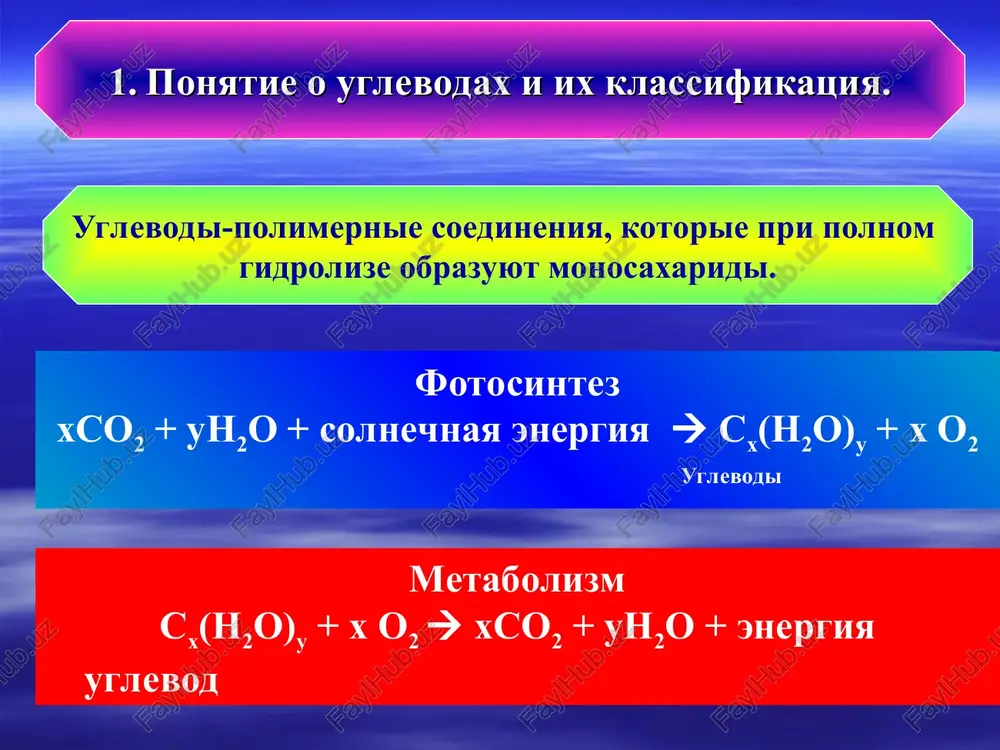 h h c h 3 o c h 2 o c h 3 h c h 2 o h h h h o o h h h h o o c h 3 o n h n n n n h 2 à d e n i n h o h 2 c h o h h h o h o o h h d - r i b o z a à d e n o z i n o h o h o h h h h o h 2 c n h n n n n h 2 h o h c h o h o h h 3 c o h o h h o h h h ( c h o h ) 2 c h 2 o h o h 2 n h h o h c o o h * d - ( …
