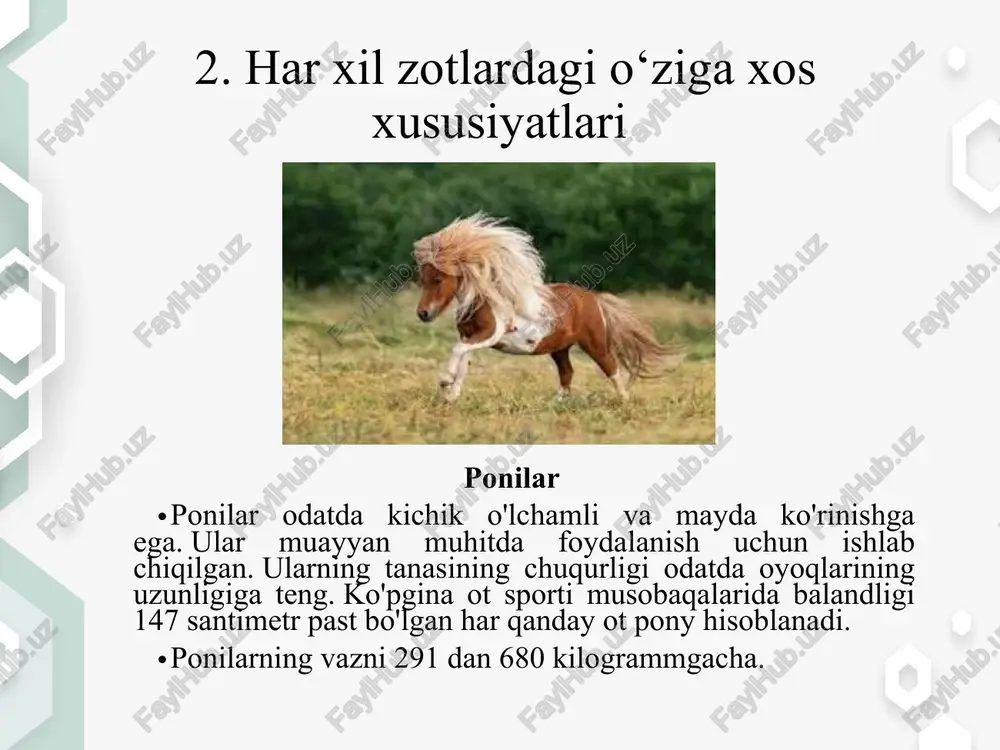 do‘ng burunli (qo‘y burunli) bo‘lishi mumkin. burun shakli 1-botiq burun 1 2 3 2-to‘g‘ri burun 3-qo‘y burun bo‘yinning shakli 1- oqqush bo‘yin 2- to‘g‘ri bo‘yin 3- kiyik bo‘yin bo‘yin. odatda otlarning bo‘yni to‘g‘ri, oqqush va kiyik nomlari bilan ataladi. to‘g‘ri bo‘yin sof qonli salt miniluvchi va rus yo‘rtoqi otlarida, oqqush bo‘yin orlov yo‘rtoqisida, kiyik bo‘yin qirg‘iz otlarida uchraydi. bo‘yinlar gavdaga nisbatan joylashishi jihatidan normal, baland va past bo‘lishi mumkin. bo‘yin gavdaga nisbatan 45-50º burchak hosil qilib joylashishi maqsadga muvofiq.(2) qarchig‘ay asosan 2-12 ko‘krak umurtqalarining o‘simtalaridan iborat. odatda qarchig‘aylar baland, o‘rta, past, uzun, qisqa bo‘lishi mumkin. tez yuguradigan otlarning qarchig‘ayi uzun va baland bo‘ladi. qarchig‘ayi uzun, baland va sermuskul otlar yo‘rtoqi va yuguruvchanligi bilan ajralib turadi. qarchig‘ayi past, keng va go‘shtdor otlar arava tortishga moslashgan.(3) bel umurtqa pog‘onasining eng nozik joyidir. uning asosini 6 ta bel umurtqasi tashkil qiladi. hamma tipdagi otlarda bel qisqa, keng, to‘g‘ri va sermuskul bo‘lishi kerak. och …