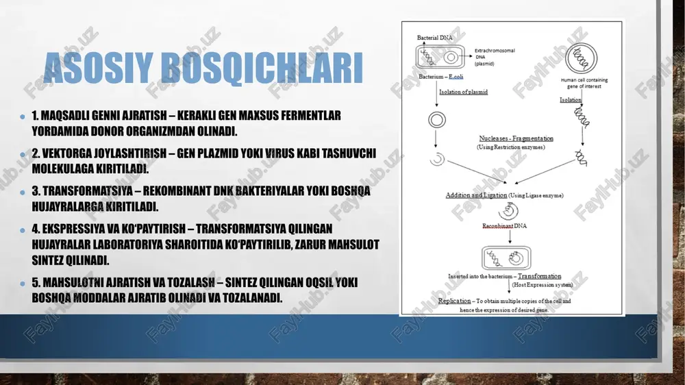 dnk rekombinatlar texnologiyalari - Page 3