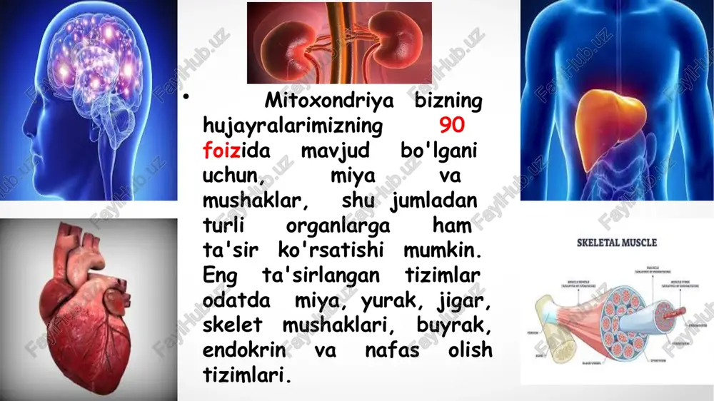 mitoxondrial kasalliklar - Page 3