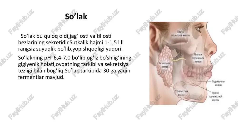 ar ko’p qabul qilish,spirtli ichimliklarni ko’p iste’mol qilish,doimiy stress va b himoya omillari: hcl sintezini kamaytiruvchi preparatlar va neytrallovchi preparatlar ishlatiladi me’da shirasi kislotalilik turlari me’da osti bezi me’da osti bezi (pancreas)- ovqat hazm qilish sistemasining katta bezlaridan biri hisoblanadi. u aralash bez bo’lib endokrin va ekzokrin qismlardan tuzilgan. ekzokrin qismida : tripsinogen, ximotripsinogen, prokarboksi-peptidaza ava b, proelastaza,amilaza, lipaza, kallogenaza va boshqa fermentlarga boy bo’lgan pankreatik shira ishlab chiqariladi. pankreatik shira bezning chiqaruv nayi orqali o’n ikki barmoq ichakka tushadi va uning fermentlari ta’sirida ichakda oqsil, uglevodlar va yog’lar oxirgi mahsulotlari (monomerlari)gacha parchalanadi. endokrin qismida: insulin, glyukagon, somatostatin, pankreatik polipeptid kabi gormonlar ishlab chiqariladi. bu gormonlar organizmda uglevodlar, oqsillar va yog’lar almashinuvini boshqarishda ishtirok etadi. me’da osti bezi sekreti – me’da osti bezi hujayralari tomonidan ishlab chiqariladi. sutkalik normasi 0,7 – 2,5 litr. ph 7-7,5 atrofida. asosini suv va unda erigan moddalar tashkil qiladi. tarkibidagi moddalar va ularning vazifasi tripsinogen …