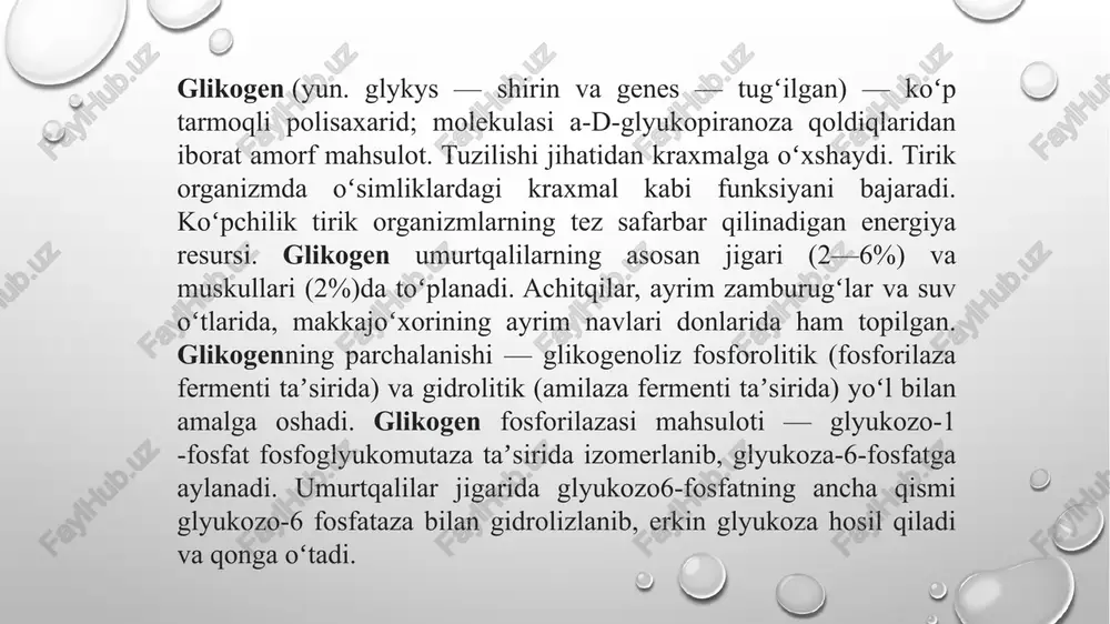 ardan hosil bo'lgan zaharli moddalarni zararsizlantiradi. so‘ngra umumiy qon aylanish sistemasiga o'tkazib beradi jigar o‘t ajratib chiqarish yo‘llari bilan chambarchas bog‘langanligi uchun moddalar almashinuvida hosil bo‘lgan ayrim zararli moddalami (o‘t pigmentlari) ichak yolariga ajratib chiqarib turadi. jigar aminokislotalar almashinuvining turli jarayonida ishtirok eta oladi. erkin aminokislotalarning almashinuvida jigarning vazifalari quyidagicha; — aminokislotalaming almashinuvi natijasida ulami energiya manbai sifatida sarflash; — almashtirsa bo‘ladigan aminokislotalar, azot guruhini tutuvchi birikmalar va nuklein kislotalami oddiy birikmalardan sintezlash; — aminokislotalar va azot tutuvchi moddalami ajratib olib, azotli asoslar - adenin va guanindan siydik kislotasini, gemdan o‘t pigmentlarini hosil qilish va zararsizlantirish. — oqsillar me’yoridan ko‘proq iste’mol qilingan taqdirda ulardan hosil bo'lgan ortiqcha miqdordagi am inokislotalarni glyukozaga aylantirib (glyukoneogenez) glikogen zaxirasini boyitadi, keton tanachalarini sintezlaydi. transaminlash, dezaminlanish va qaytaminlanish fermentlaridan tashqari ayrim aminokislotalar almashinuvida ishtirok etuvchi maxsus fermentlar ham jigarda joylashgan. shuning uchun jigar faoliyatini o‘zgarishlari ayrim aminokislotalar almashinuvlarining buzilishiga olib keladi. masalan: metionin aminokislotasining almashinuvi …
