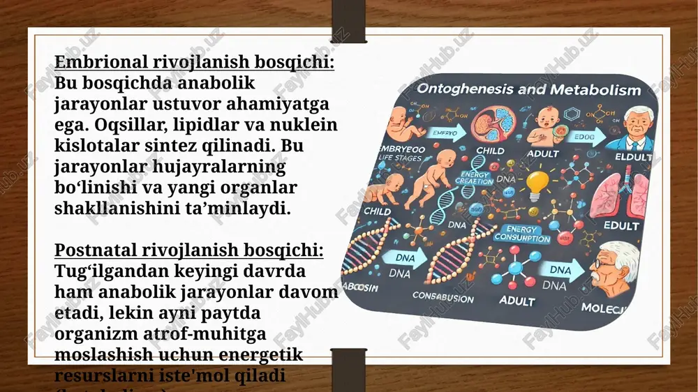 ‘smirlik va keksayish davrida gormonlar va ozuqaviy moddalarning roli katta ahamiyatga ega. e’tiboringiz uchun raxmat image5.png image6.png image7.png image8.png image9.png image10.png image11.png image3.png image4.png /docprops/thumbnail.jpeg
