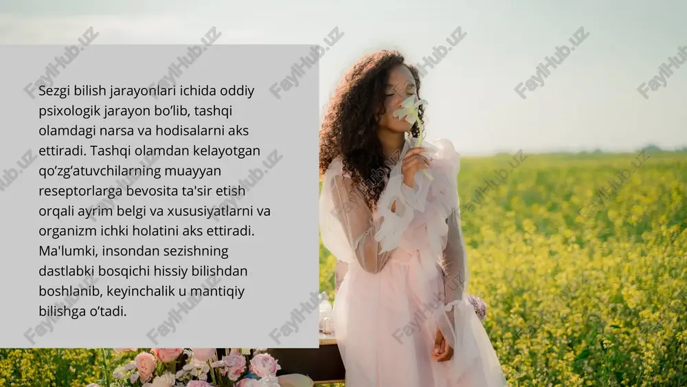 ng xromatik ranglar deb atalib, ularga kamalak ranglar, ya'ni qizil, zarg’aldoq, sariq, yashil, havo rang, ko’k, binafsha tuslarini qamrab oladi. odatda oq rang, qora rang, kulrang va ularning turlicha ko’rinishlari axromatik ranglar deb nomlanadi. eshitish sezgilari eshitish sezgilari tovushlarni eshitishdan iborat bo’lib, musiqaviy va shovqinli tovushlarni aks ettiradi. odatda tovushlar oddiy va murakkab turlarga ajratiladi, ularning birinchisi tonli, ikkinchisi esa bir necha tondan tashkil topadi. hid bilish sezgilariga hidlarni his qilish kiradi va ularning organi burun kavagining yuqori tomoni hisoblanib, bu yerda hid bilish hujayralari hamda sezuvchi nerv tarmoqlari joylashgan. ular shilliq pardalarda botib turadi. hid bilish sezgilari ta'm bilish sezgilari ta'm bilish sezgilari shirin, achchiq, nordon, sho’r singari mazalarni his qilish bilan tavsiflanadi. ta'm bilish sezgilarining organi tilning yuzasi va tanglayning yumshoq qismidan tashkil topgan. tilning shilliq pardasida maxsus ta'm bilish so’rg’ichlari mavjud bo’lib, ularning tarkibi tayoqchasimon hujayralardan tuzilgan maxsus ta'm bilish "kurtaklari"ga ega. ta'm bilish so’rg’ichlari til yuzasida …