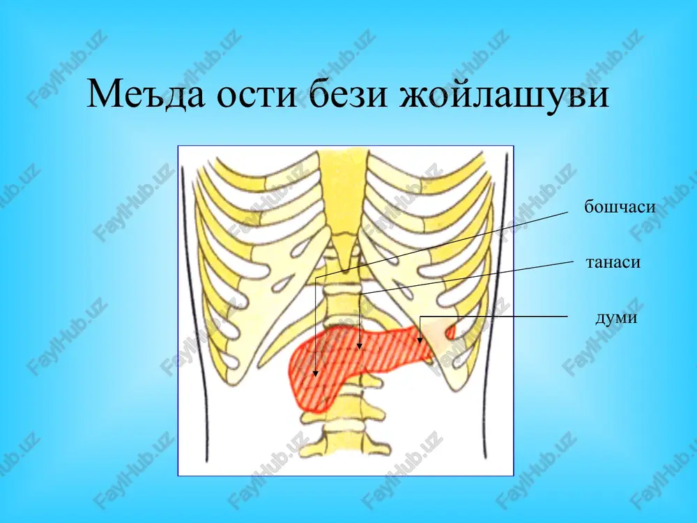 omirlar trombozi yoki emboliyasi o'tkir ichak tutilishi o'tkir xoletsistit o'tkir appenditsit laborator diagnostika qon tahlilida gipoxrom anemiya, leykotsitoz, for- mulaning chapga siljishi, echt ni ko'tarilishi. me'da osti bezi fermentlaridan amilaza (diasta-za) miqdorining qon va siydikda ortishi. kaliy, natriy, kaltsiy ionlari va qand miqdo-rining ortishi, gipo va disproteinemiya. qonda giperfibrinogenemiya va s-reaktiv oqsil miqdorining ortishi. pankreonekrozda bir kecha kunduzlik diurezning kamayishi (anuriyagacha) kuzatiladi. siydik taxli-lida proteinuriya, mikrogematuriya, tsilindruriya aniqlanadi. rentgenologik tekshiruv, endoskopik tekshiruv ultratovush yordamida tekshiruv kompyuter tomografiya, angiografiya laparoskopiya maxsus tekshiruv usullari angiografiya laparoskopiya laparotsentez izlovchi kateter maxsus diagnostika usullari * utkir pankreatit utt tekshiruvi utkir pankreatit utt tekshiruvi utkir pankreatit utt tekshiruvi kompyuter tomografiya yader-magnit tomografiya pankreonekrozdagi «oynali shish» pankreonekrozdagi «stearin pilakchalar» pankreonekrozdagi «stearin pilakchalar» va fibrin tolalari o'tkir pankreatitning laparoskopik belgilari o'tkir pankreatitni zamonaviy davolash tamoyillari 1. maksimal konservativ (patogeneziga asoslangan holda) muolaja, 2. differentsiallashgan muolaja kasallik davri va turiga qarab, 3. doimiy noinvaziv (uzi, kt) va invaziv …