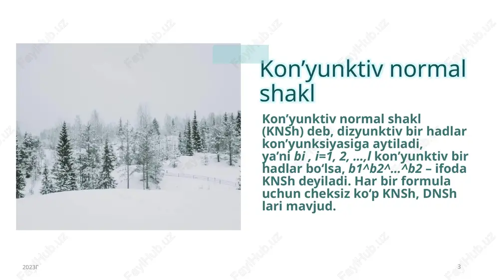 diz’yunktiv normal shakl - Page 3