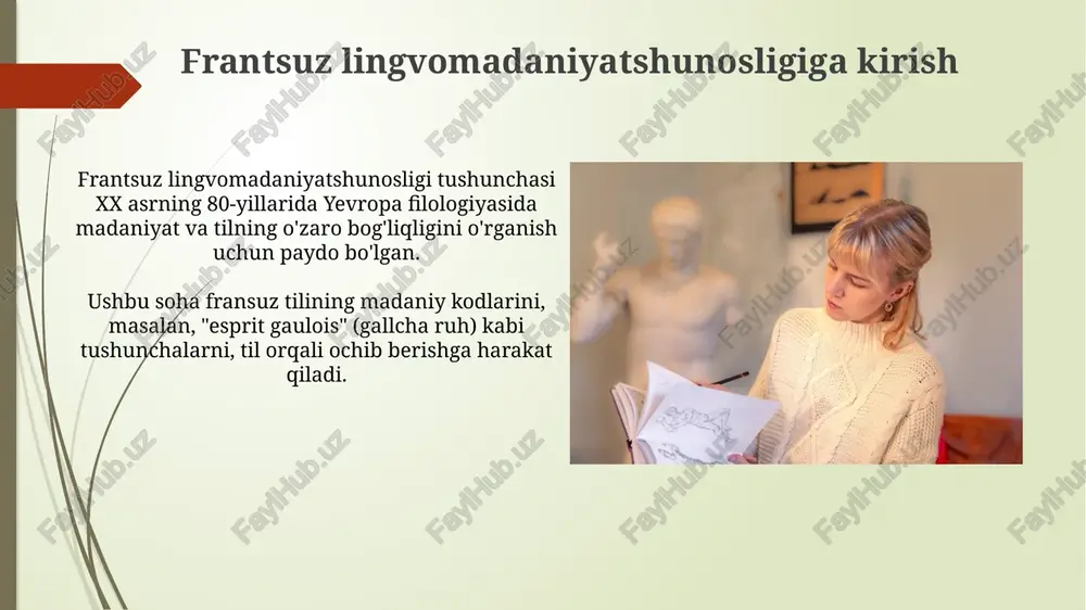 fransiya lingvokulturologiyasi - Page 3