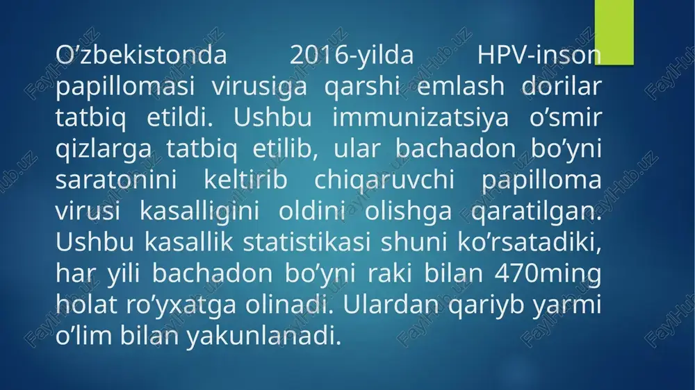 olalar –ular shilliq qavat bilan tutashganligi uchun muscularis mucosae. -o`rta ko`ndalang tolalar –bu qavatda vena chigallari ko`p bo`lgani uchun tomirli qavat-stratum vasculosum deyiladi. -tashqi bo`ylama tolalar-ular qorin pardaga tegib turadi va tomirli qavat sirtida joylashgani uchun stratum supravasculosum deyiladi. 3-perimetrium: seroz pardadan iborat. bachadon bo`yni: uning uzunligi bachadonnig 1/3 qismiga to`g`ri keladi. bachadon bo`yni ikki qismga bo`linadi: 1-ekzoserviks ya`ni qin qismi bo`lib bachadon bo`ynini 1/3 qismini tashkil qiladi: u bachadon bo`ynini qinga o`tish joyi bo`lib ko`p qavatli yassi epiteliy bilan qoplangan. 2-endoserviks yani servikal kanal qismi bo`lib bachadon bo`ynini 2/3 qismini tashkil qiladi : u bachadon bo`ynini bachadon bo`shlig`iga o`tish joyi bo`lib silindrik epiteliy bilan qoplangan. bu ikki qismni bir biriga o`tish joyi transformatsiya zo`nasi deyiladi va hacfli kechuvchi o`smalar aynan shu zonada eng ko`p uchraydi. bachadonni qon bilan ta`minlanishi: bachadon arteriya qonini ichki yonbosh arteriyani shoxi xisoblangan bachadon arteriyasidan-arteriya uterinadan oladi. bachadon va uning naylari ikki tomondan qon tomir …