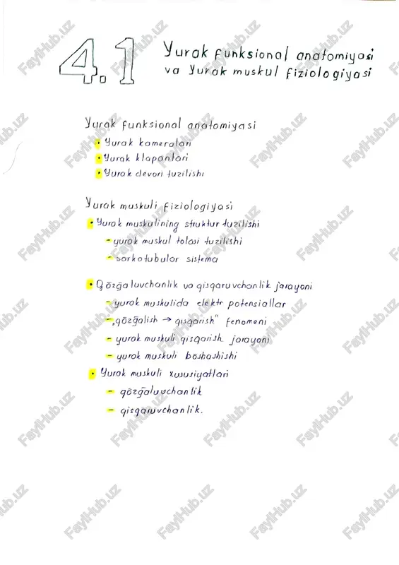 yurak funksional anatomiyos - Page 3