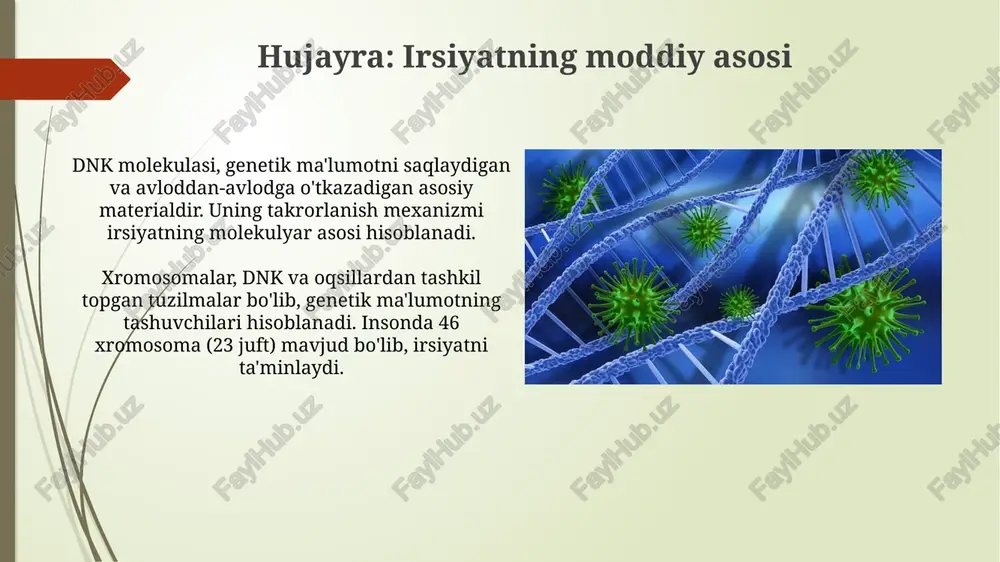 hujayra: irsiyatning moddiy asosi - Page 3
