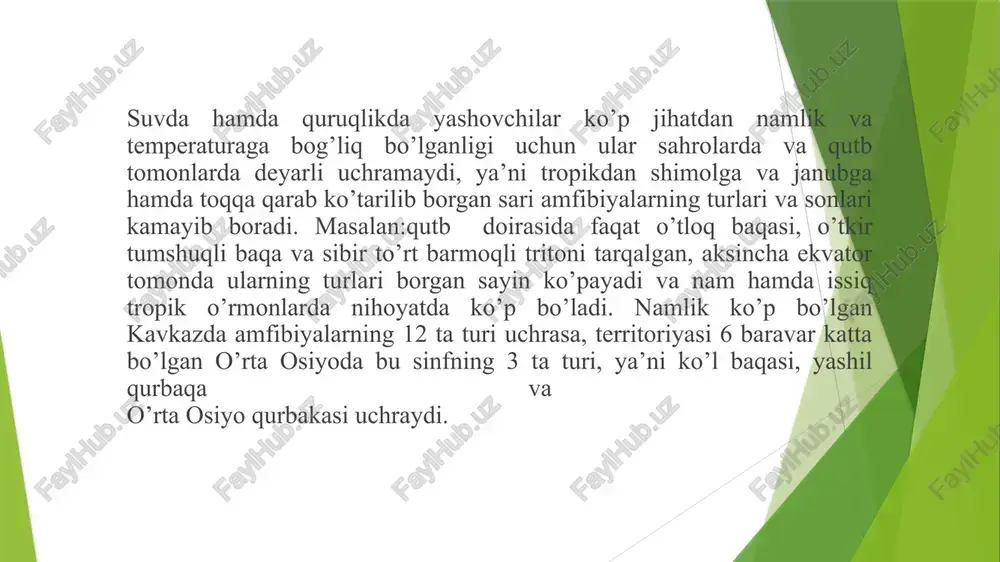 alishi yillik haroratning birmuncha yuqori bo’lishi, suv havzalarining mavjudligi, havoning namligi, suv va tuproqning kimyoviy tarkibiga bog’liq oyoqsiz amfibiya. .4. suvda hamda quruqlikda yashovchilarning kelib chiqishi va ahamiyati amfibiyalaming kelib chiqishini o’rganish katta ahamiyatga ega. suvda hamda quruqlikda yashovchilar dastlabki quruqlikda yashashga o’tgan umurtqali havvonlar bo’lganidan ularning kelib chiqishi orqali boshqa haqiqiy quruqlikda yashovchi umurtqalilami, ya’ni sudralib lvuruvchilar. qushlar va sutemizuvchilaming kelib chiqishini izohlab berishda muhim ahamiyatga ega. umurtqalilami suv muhitidan qumqlikda yashashga o’tishida atmosfera kislorodi bilan nafas olishga va quruqlikda qattiq substratda harakatlanishga moslanishi muhim ahamiyatg suvda va quruqda yashovchilar – quruqda yashovchi umrtqalilarning birinchi sinfi bo’lib, suvda yashagan qadimgi ajdodlarning bir qancha belgilarini ham saqlab qolgandir. bu hayvonlarning individual rivojlanishida muhitning almashinib turishi juda ham harakterlidir. amfibiyalarning dastlabki rivojlanishi suvda o’tadi va suvda yashashga layoqatlashgan lichinkasi (itbaliq) metomorfozlashib quruqlikda yashovchi yetuk hayvonga aylanadi. quruqda yashovchi umrtqalilar singari amfibiyalarda besh barmoqli bo’imli oyoqlar bo’ladi. bosh skeleti umrtqa poonasiga harakatchan …