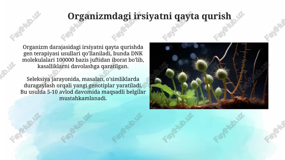 rga moslashtirilgan dori vositalarini tanlash imkonini beradi, masalan, cyp2d6 genotipiga qarab dozani sozlash orqali nojo'ya ta'sirlarni kamaytirish. organizmning rivojlanishida irsiyatning o'rni organizmning rivojlanishida irsiyat 23 ta xromosoma juftini, jumladan, avtosomalar va jinsiy xromosomalarni o'z ichiga olgan dnk orqali nasldan naslga o'tadigan genetik ma'lumotlarni ta'minlaydi. genetik ko'rsatmalar hujayralar differentsiatsiyasi va organogenezning bosqichma-bosqich jarayonini boshqaradi, embrion rivojlanishining dastlabki 8 haftasida organizm shakllanishida hal qiluvchi ahamiyatga ega. ekologiya va irsiyatning o'zaro ta'siri ekologik omillar irsiyat ifodasiga ta'sir ko'rsatishi mumkin, masalan, oziqlanish genlarning faolligini 30-40% gacha o'zgartirib, fenotipik o'zgarishlarga olib keladi. radiatsiya, kimyoviy moddalar kabi ekologik stresslar dnkda mutatsiyalarni keltirib chiqaradi, irsiy o'zgaruvchanlikni oshirib, adaptatsiya jarayonlariga 10-20% ta'sir qilishi mumkin. populyatsiya genetikasi va evolyutsiya populyatsiya genetikasi allellarning chastotalari va genotiplarning tarqalishini o'rganadi, evolyutsiya esa bu chastotalarning vaqt davomida o'zgarishini tushuntiradi. genetik drift, 50 organizmdan kam bo'lgan kichik populyatsiyalarda allel chastotalarida tasodifiy o'zgarishlarga olib keladi, adaptiv xususiyatlarning yo'qolishiga sabab bo'lishi mumkin. biologik xilma-xillikni saqlash biologik …