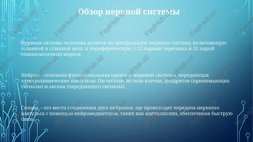 nervsistemasivauningichkituzilishi - Page 3