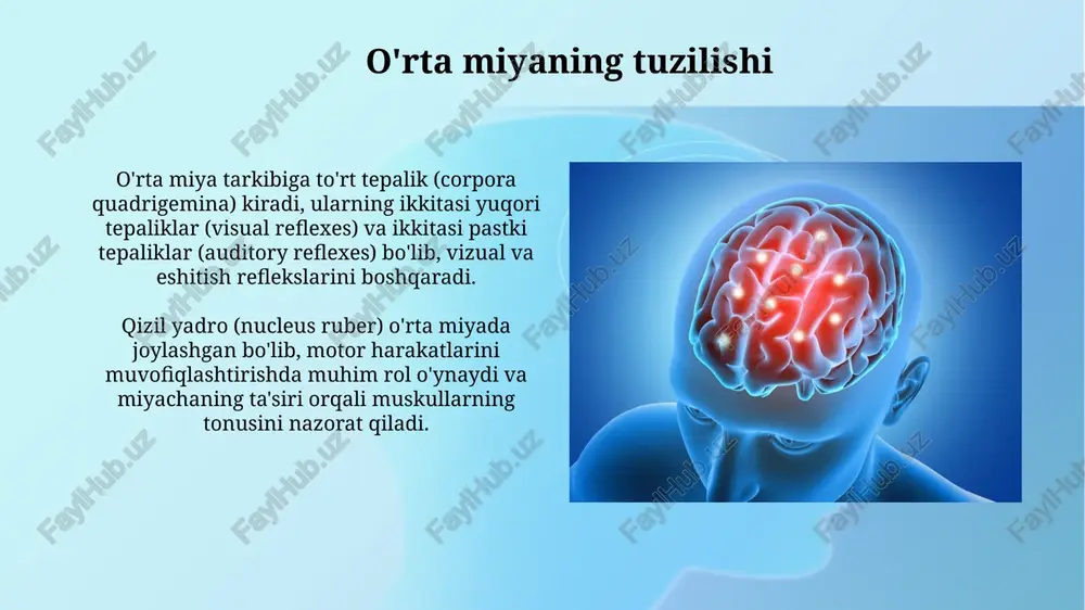 oraliq miya - Page 3