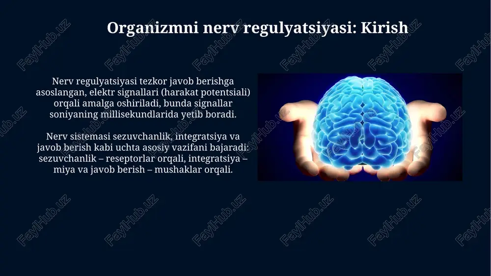 lan, insulin glukozani 1-tip diabetda tartibga solishda muhim ahamiyatga ega. gipofiz bezi va uning gormonlari gipofiz bezining oldingi bo'lagi (adenogipofiz) 6 ta asosiy gormon ishlab chiqaradi, masalan, o'sish gormoni (gh) va prolaktin, ular metabolizm va reproduktsiyaga ta'sir qiladi. orqa gipofiz (neyrogipofiz) gormonlarni ishlab chiqarmaydi, ammo gipotalamusda sintezlangan oksitotsin va antidiuretik gormon (adh) kabi gormonlarni saqlaydi va chiqaradi. qalqonsimon bez va uning gormonlari qalqonsimon bez ikkita asosiy gormon ishlab chiqaradi: tiroksin (t4), uning tarkibida 4 ta yod atomi bor va triiodotironin (t3), faolroq shakl bo'lib, 3 ta yodni o'z ichiga oladi. t3 gormoni t4 dan deiodinaza fermenti yordamida hosil bo'ladi, u t4 molekulasidan bitta yod atomini olib tashlaydi. bu jarayon asosan periferik to'qimalarda sodir bo'ladi. buyrak usti bezlari va ularning gormonlari buyrak usti bezlari ikki qismdan iborat: korteks va medulla. korteks uchta zonadan (glomerular, fasikular, retikulyar) iborat bo'lib, har biri turli steroid gormonlar ishlab chiqaradi. buyrak usti bezi medullasi katexolaminlar (adrenalin …
