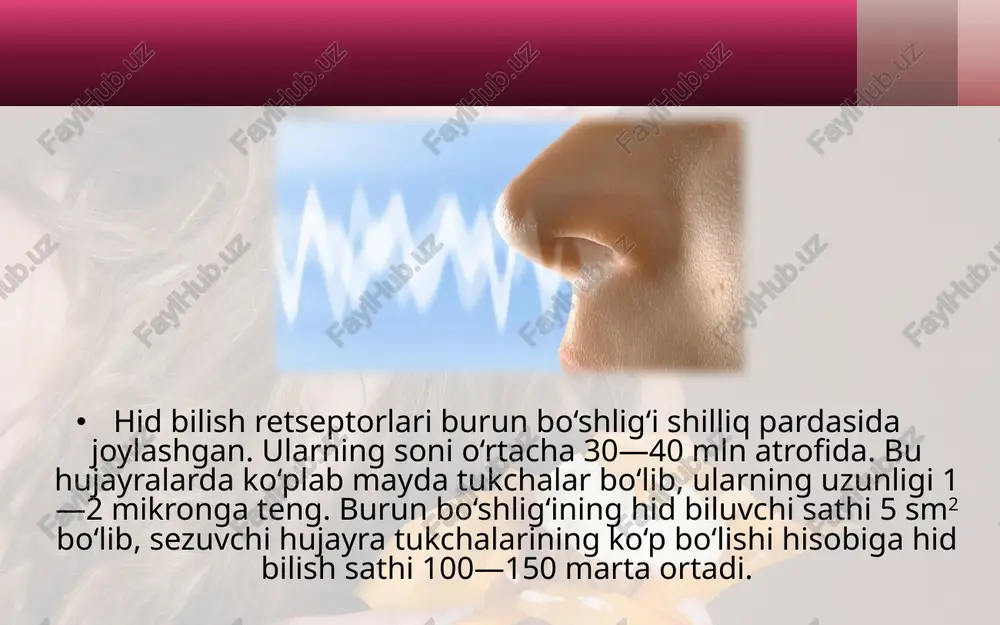 hid bilish psixofiziologiyasi - Page 3