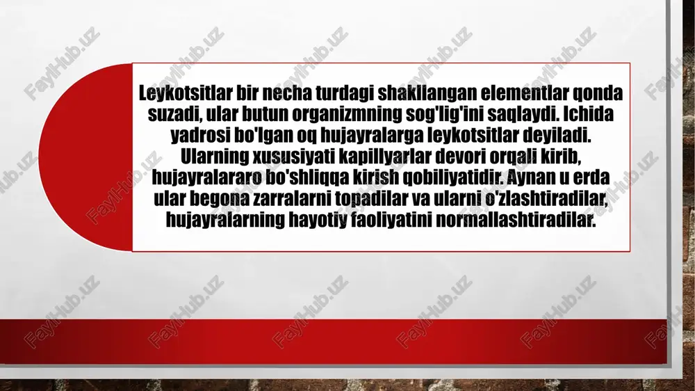 on hisoblanadi leykopeniyaning aksi, qondagi leykotsitlar sonining ko'payishi leykotsitoz deb ataladi. ammo, leykopeniyadan farqli o'laroq, bu har doim ham patologiya emas. bunday holda, ba'zida odamda bu hujayralar sonining fiziologik o'sishi borligi aytiladi. leykopiniya odamning bunday holatlarida sodir bo'ladi: ayollarda hayz ko'rishdan oldin; ovqat miqdori yaxshi bo‘lmaganda hissiy shok davrida; homilador ayollarda. leykopiniya jarayonalri kuzatiladi leykotsitoz bir qancha patologik yallig’lanish uchun xarakatli biroq sog’lom insonda ham kuzatiladi (ovqat hazm qilishda jismoniy mehnatda va hokoza) tajribada shuni isbotlashganki studentlar qiyin imtihonlar paytida leykotsitlar miqdori ko’paygan 11000tagacha yetganini qayd etishgan leykotsitlar miqdorning ortib ketishi ham kamayib ketishi ham organizm uchun zararli hisoblanadi odam organizmidagi leykotsitlar miqdori normadan chiqmasligi kerak leykotsitlarning har bir shaklining umri boshqacha. masalan, granulotsitlar 10 kundan so'ng o'la boshlaydi, immunitet tizimi uchun ayniqsa muhim bo'lgan limfotsitlar inson organizmida bir necha yil ishlaydi, shundan so'ng ular yangilari bilan almashtiriladi. monotsitlar eng qisqa umrga ega, bu 1-2 soat. buning sababi, ular eng …