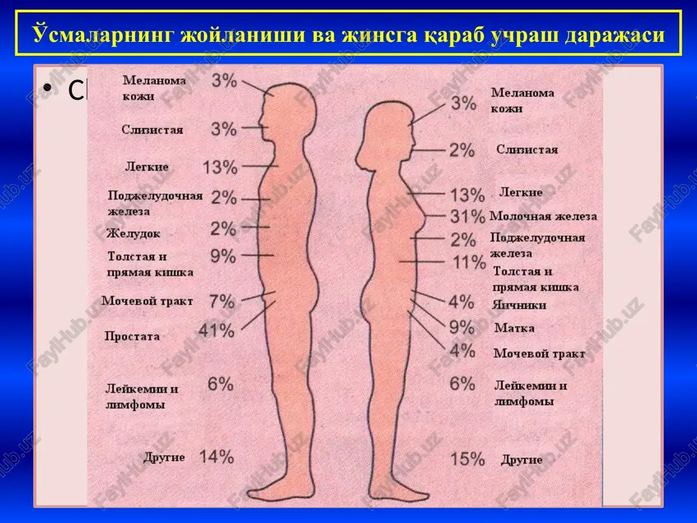 alignizatsiyalanishi mumkin 8. orqaga, xavfsizga qaytmaydi 9. yo'q 9. ikkilamchi o'zgarishlar bor 10. yo'q 10. kaxeksiya xavfsiz va xavfli o'smalarning farqi 1. ekspansiv – sekin, chegaralangan, ich-ichidan atrof to'qimalarni chetga surib o'sish. xavfsiz o'smaga xos. 2. appozitsion – meyoriy hujayralarning neoplastik transformatsiyalanishidan xavfli o'smaga aylanib o'sishi. 3. invaziv yoki infiltrativ – atrof to'qimalarni buzib, yorib, destruktsiyalab, tarqalib o'sish. xavfli o'smalarga xos. 4. endofit – xavfli o'sma hujayralarining a'zo devori ichiga infiltratsiyalanib, o'sib kirib tarqalishi. 5. ekzofit – a'zo ichi bo'shlig'iga o'smaning ekspansiv holda o'sib chiqishi. 6. unitsentrik – o'smaning bir joydan o'sib chiqishi. 7. multitsentrik – o'smaning bir nechta joydan o'sishi. o'smalarning o'sish turlari to'qima atipizmi – o'sma to'qimasida hujayralar, tolali tuzilmalar va tomirlar betartib, ya'ni har xil yo'nalishda joylanishi hujayra atipizmi – xavfli o'sma to'qimasida hujayralarning har xilligi, yadrosining katta-kichikligi, to'q-ochligi, mitozlar ko'pligi xavfsiz va xavfli o'smalarning farqi metastaz – xavfli o'sma hujayralarining gematogen, limfogen, perinevral va tutashish (kantakt) …